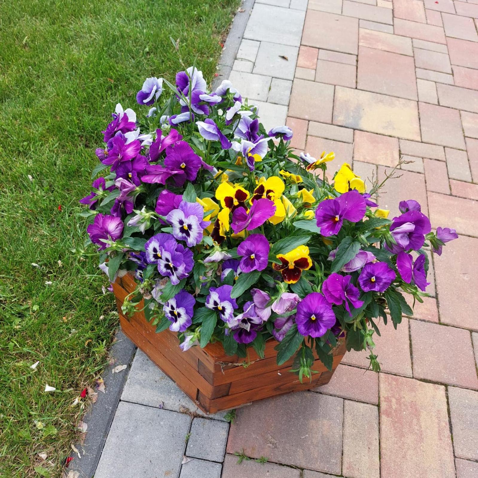 Photo 37
