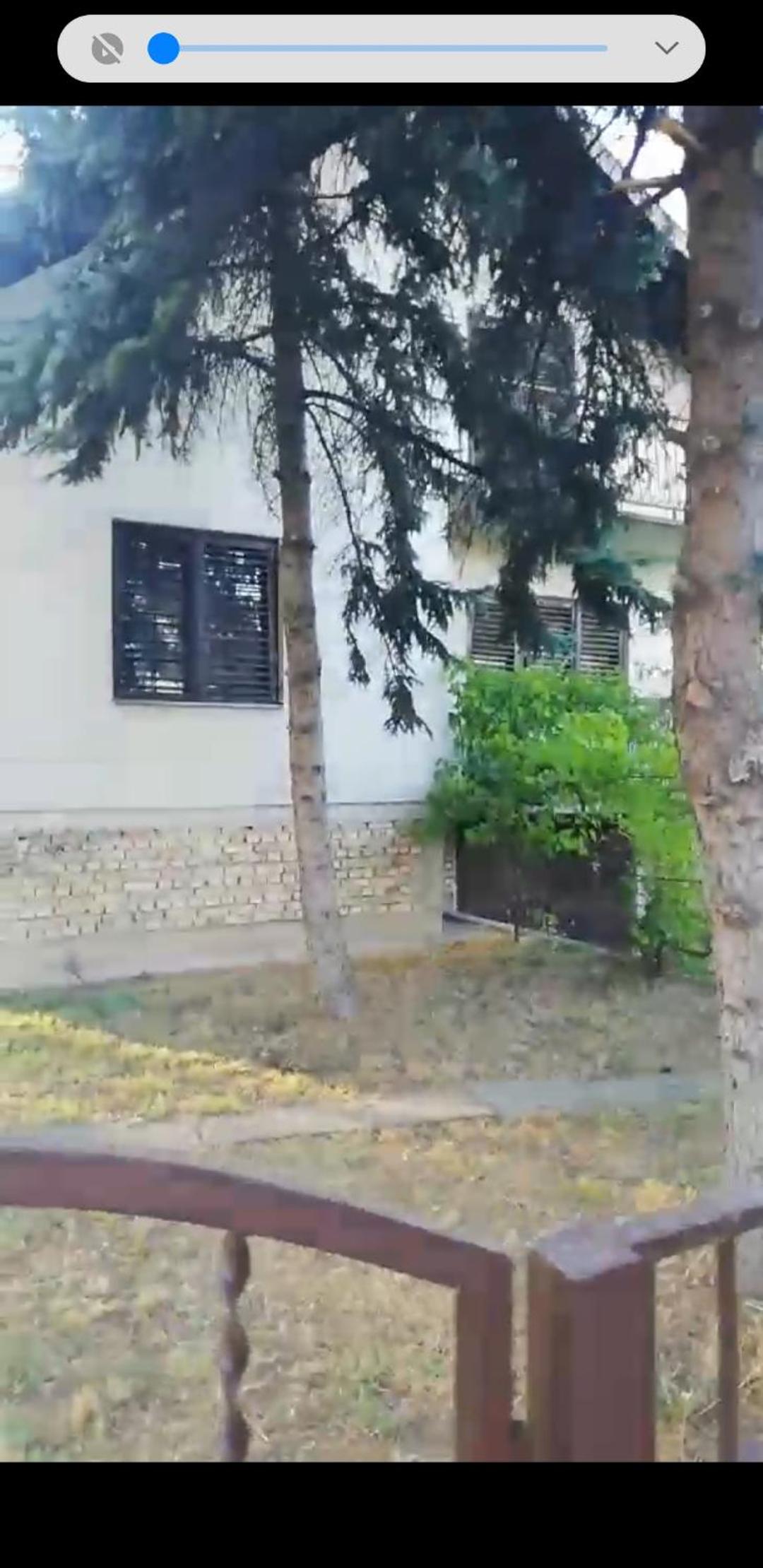 Bački Raj view 3