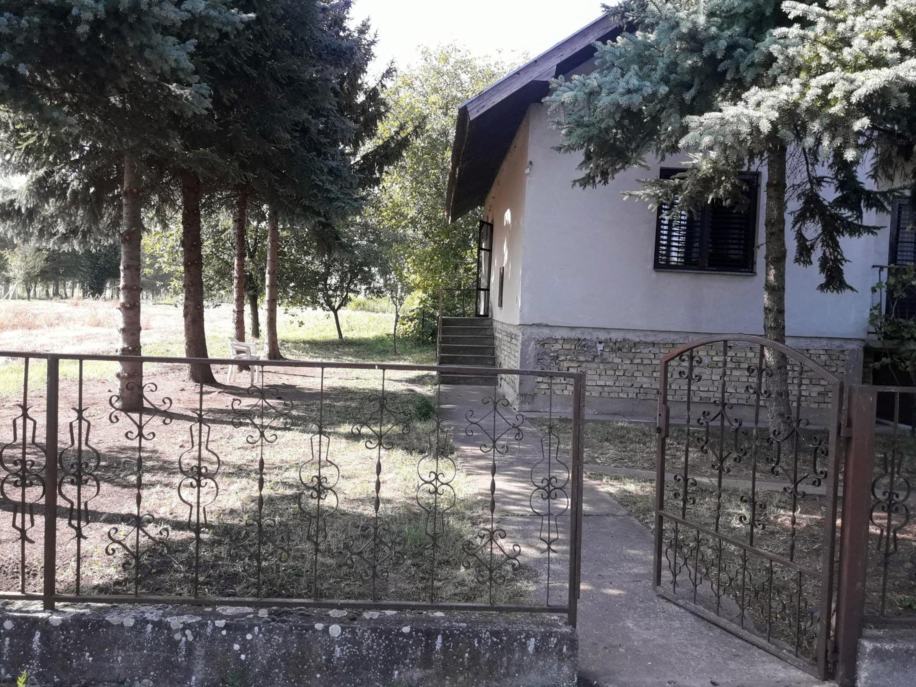 Bački Raj view 2