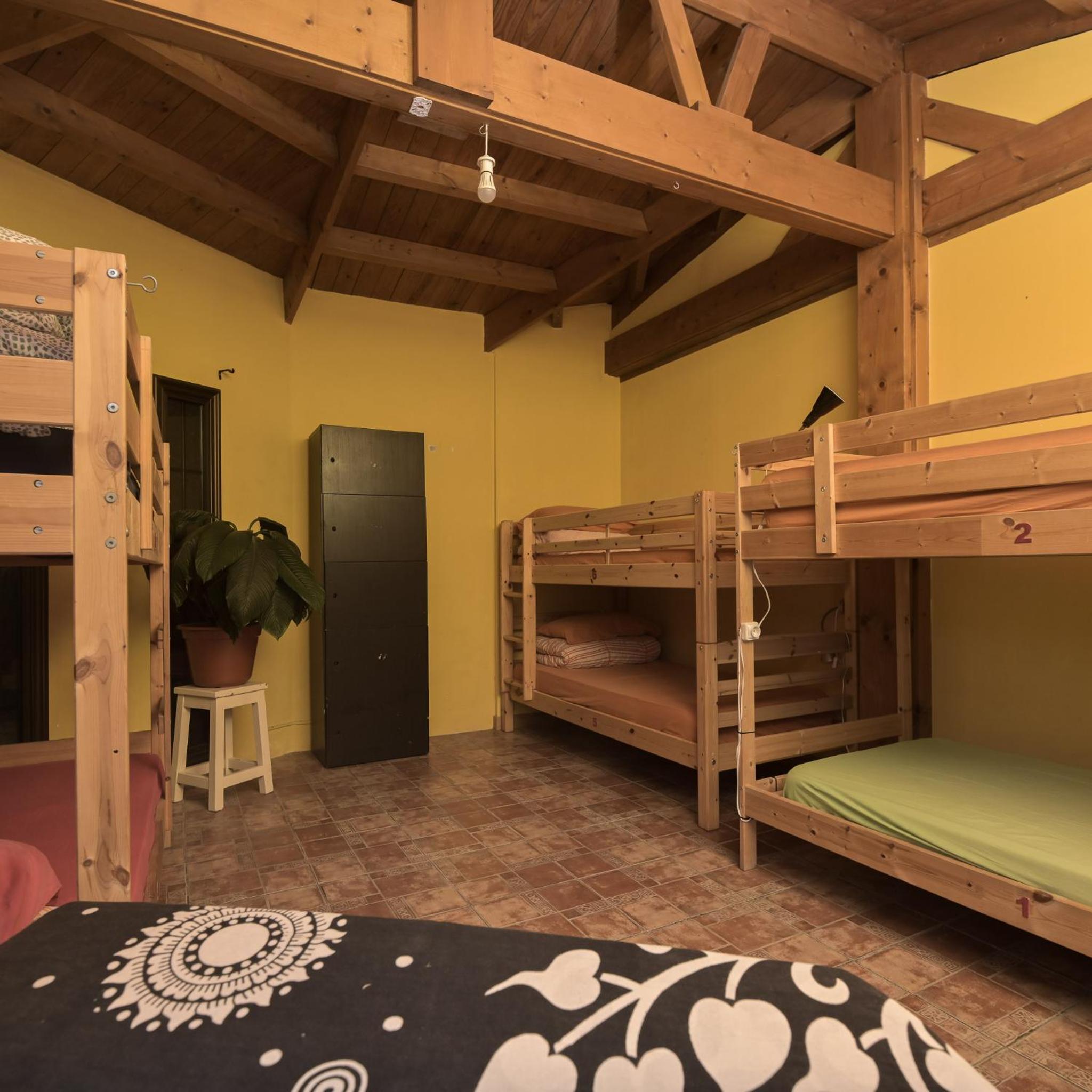 Los Amigos Nest Hostel