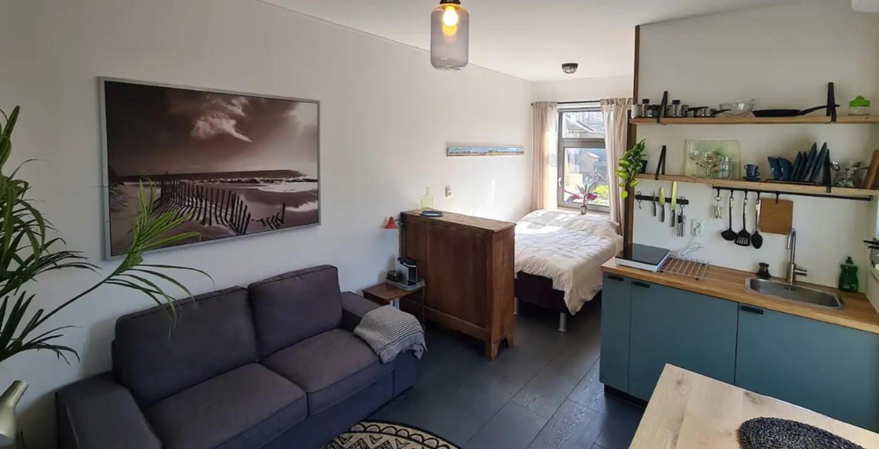 Have a nice stay! - Studio tussen de bossen en de bollenvelden view 3