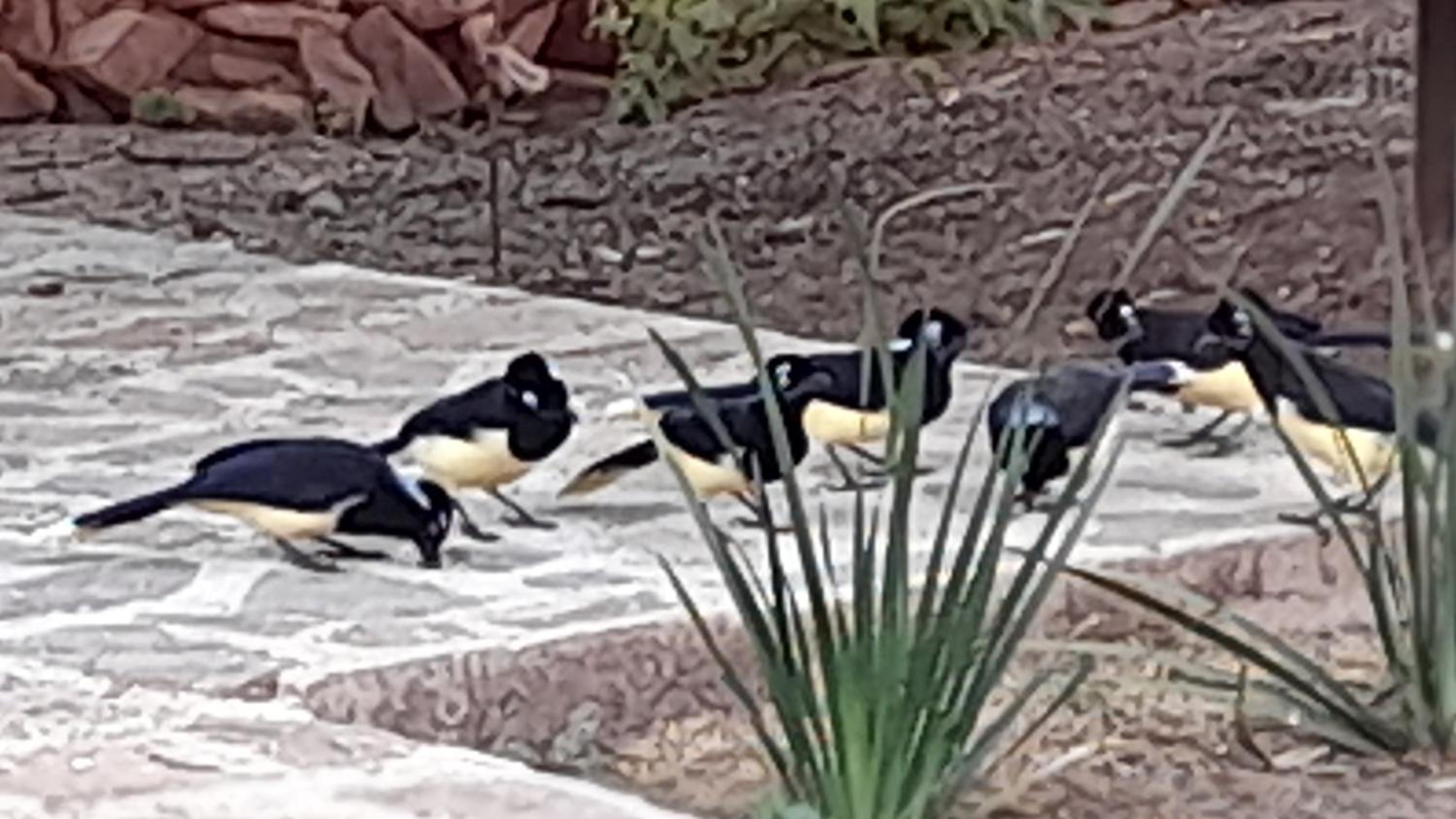Departamento en la naturaleza