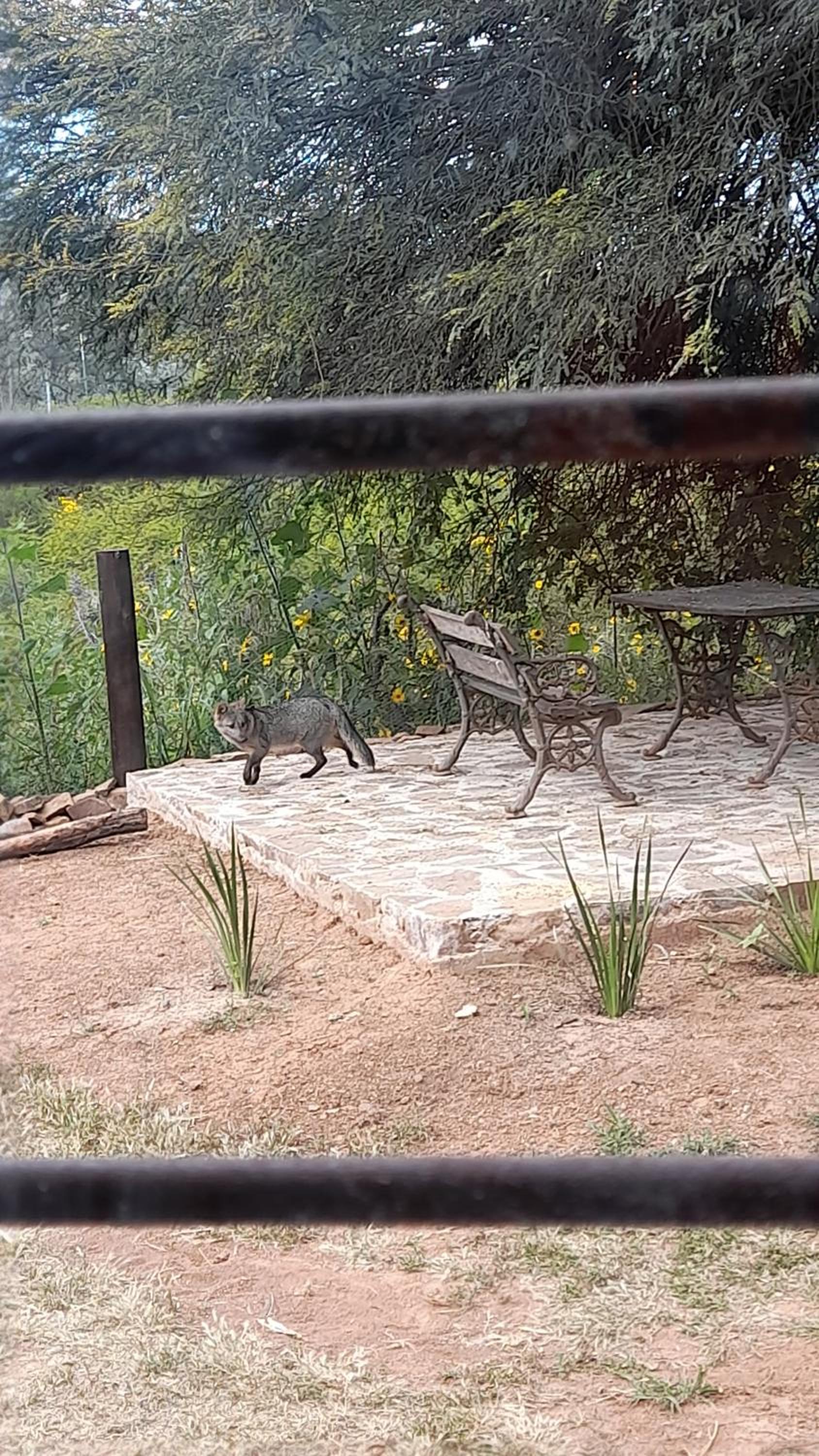 Departamento en la naturaleza