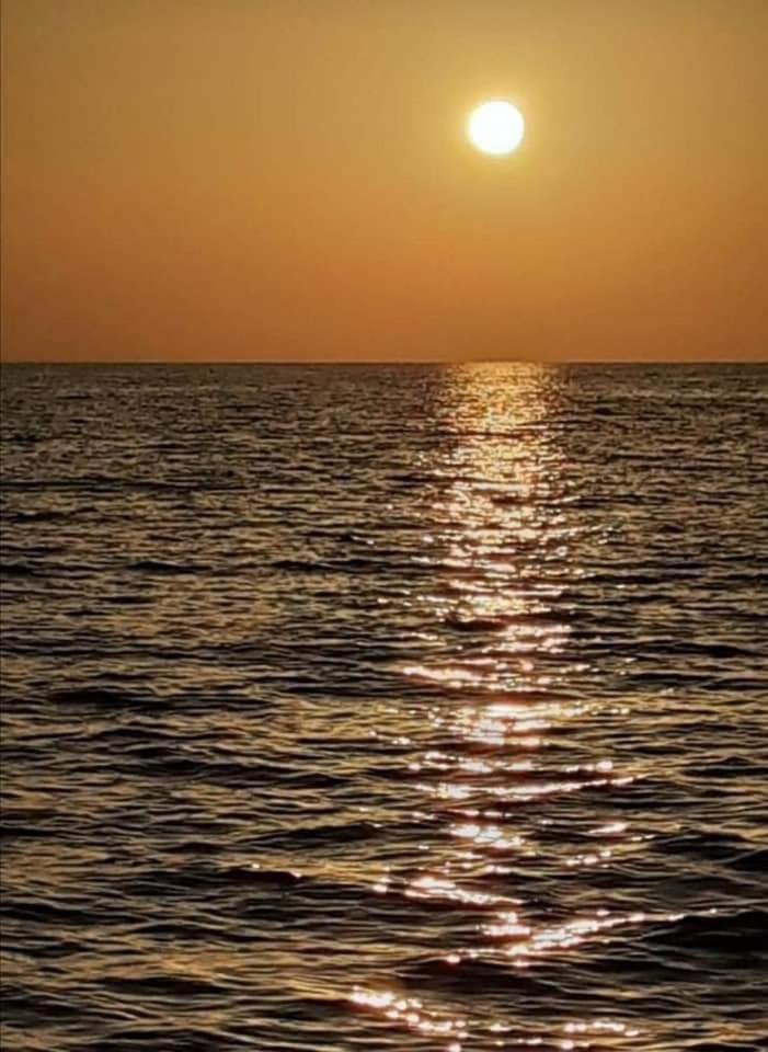 LA DAMA BIANCA BOVO MARINA