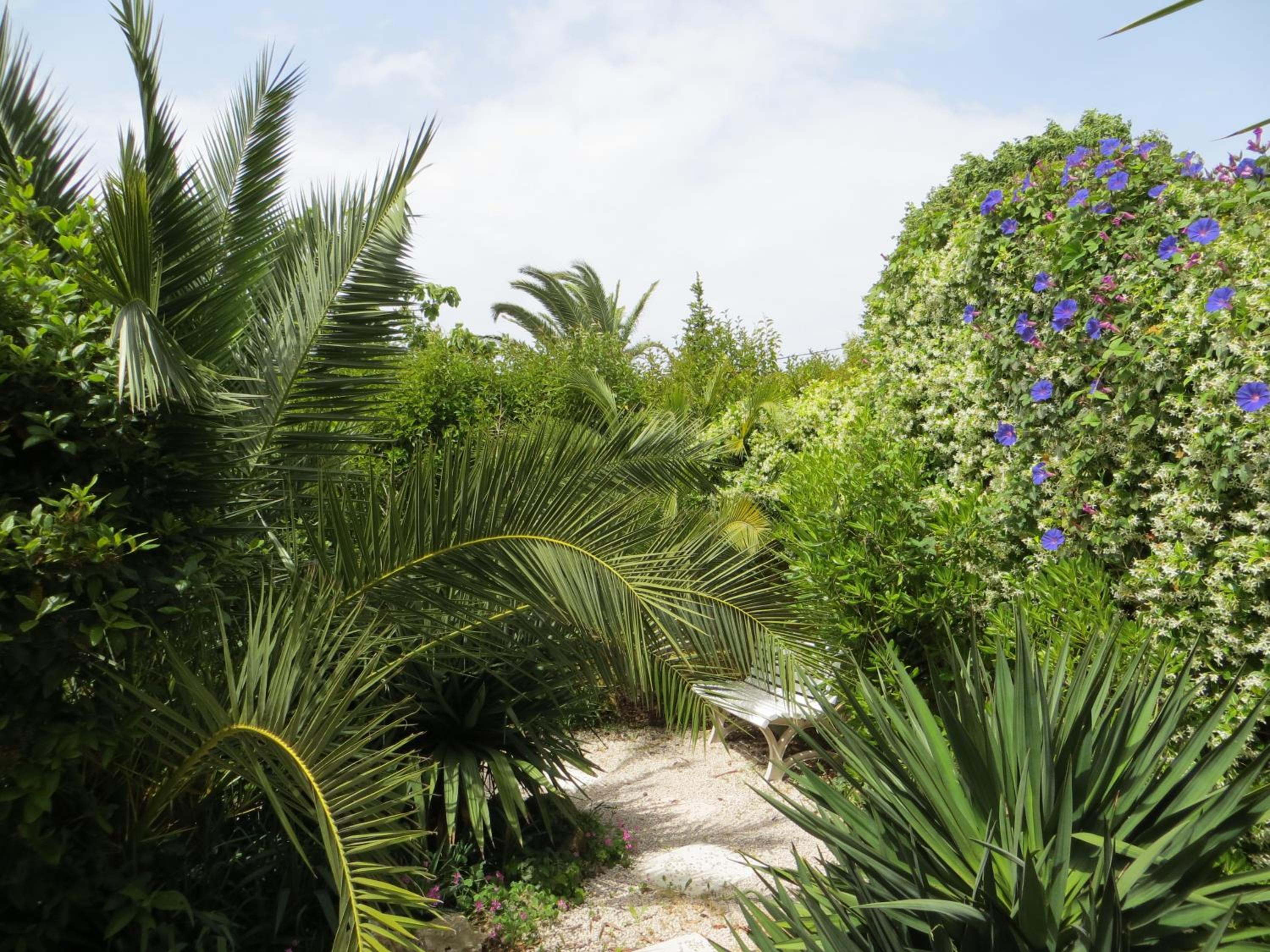 garden