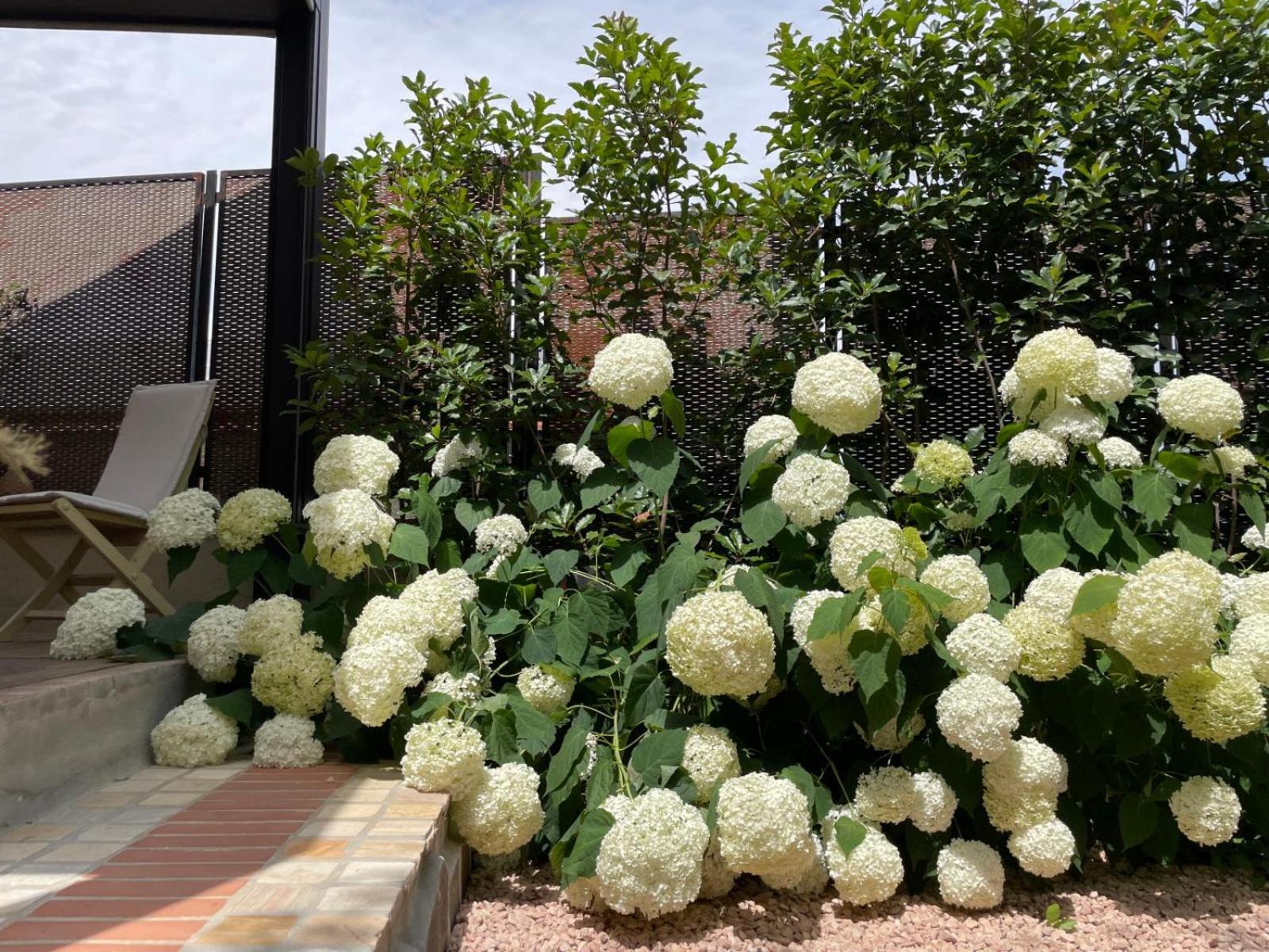 Borgata Cantone Country House B&B