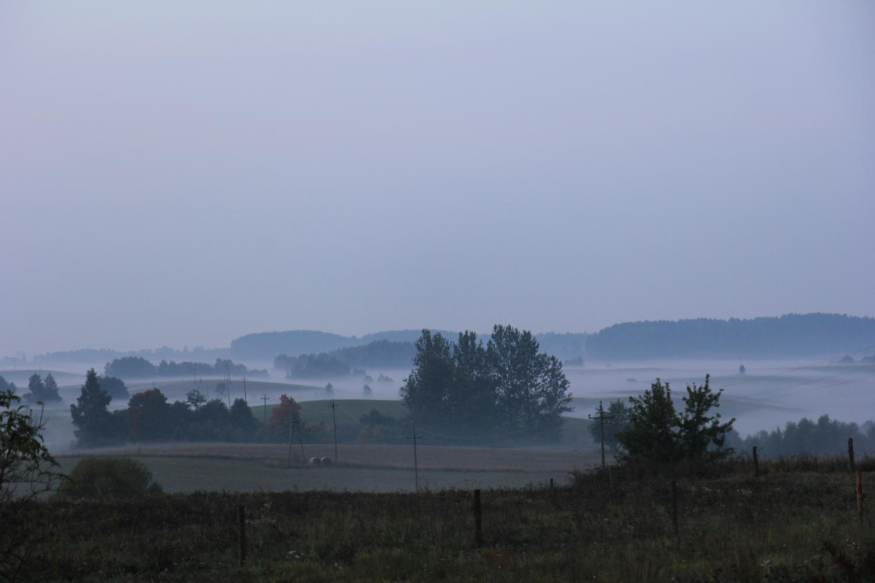 Mazury Garbate. Dom II przy Cisowym Jarze view 3