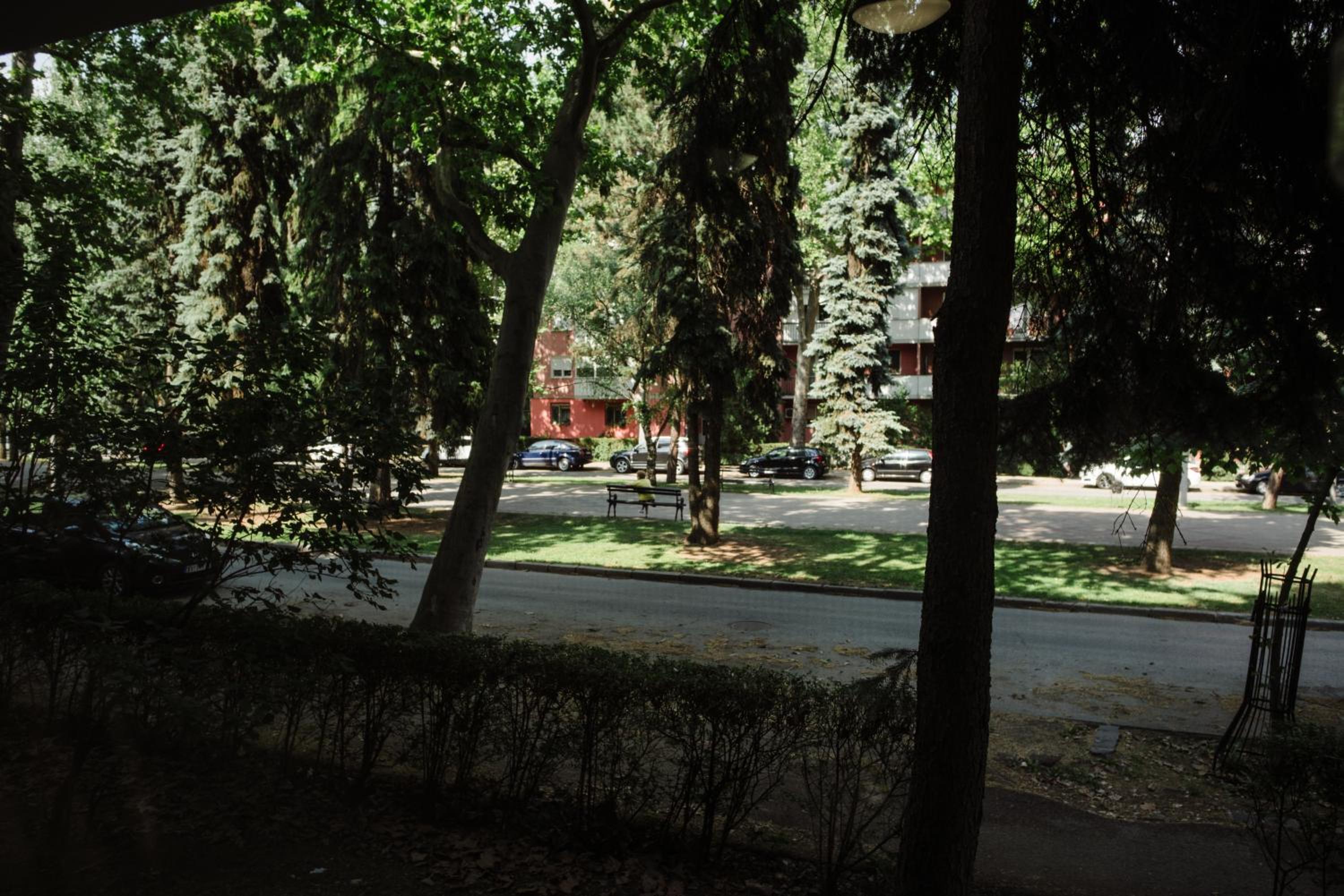Photo 30