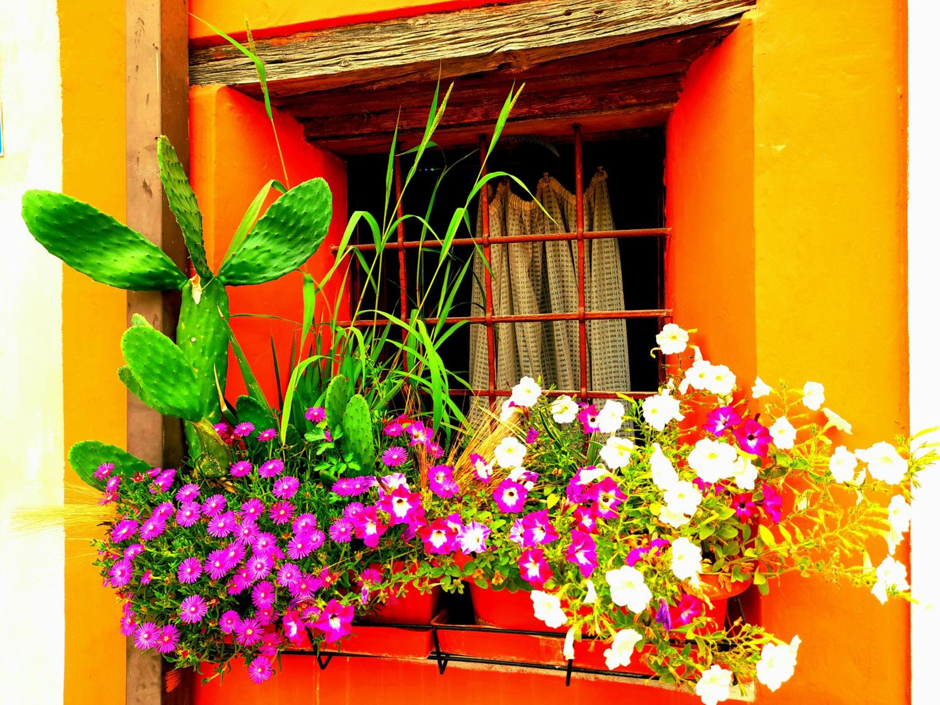 ZANINA COUNTRY HOUSE