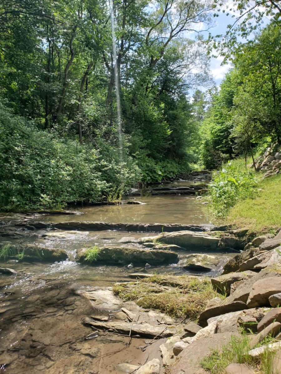 Photo 44