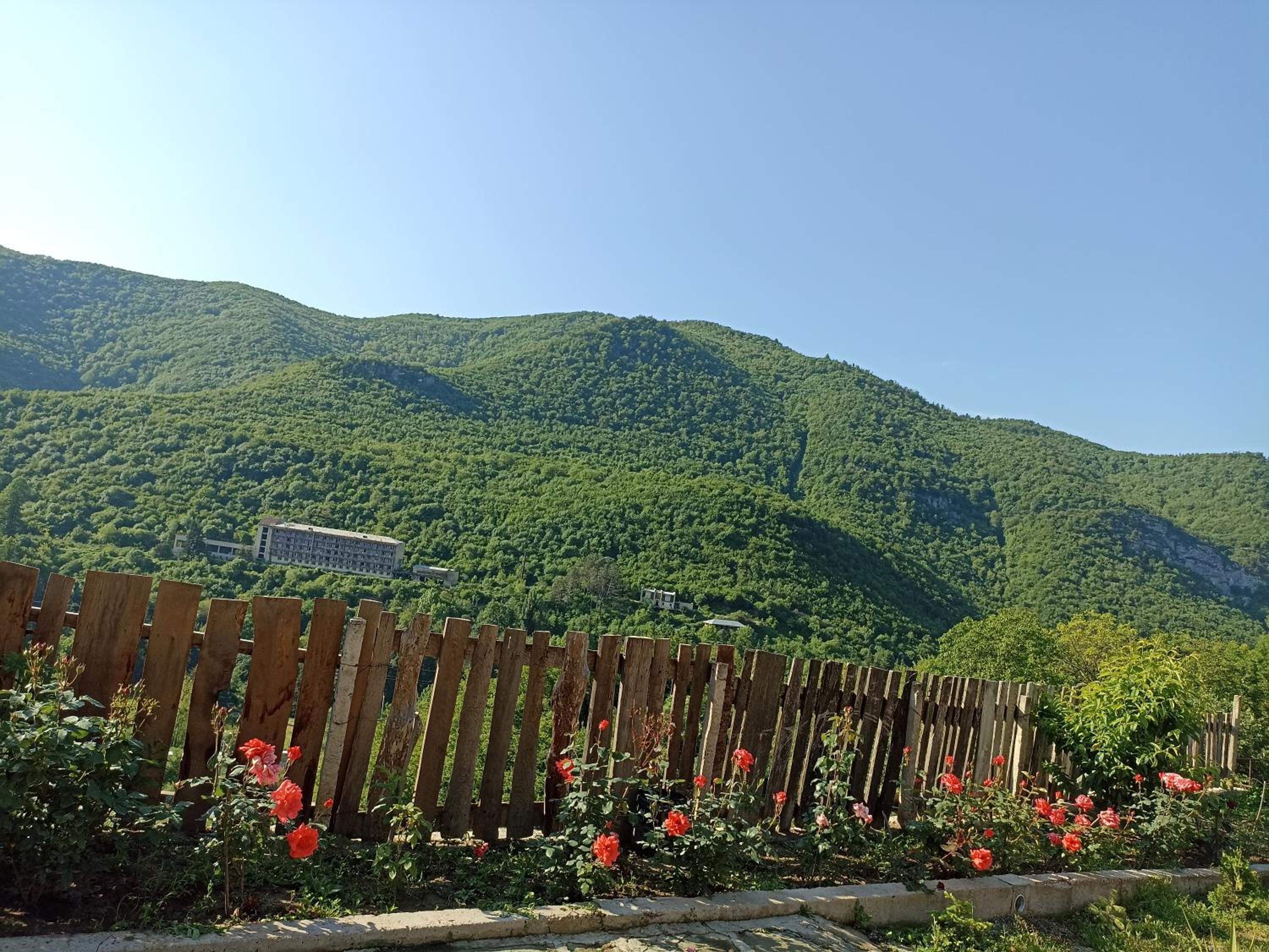 Green Garden