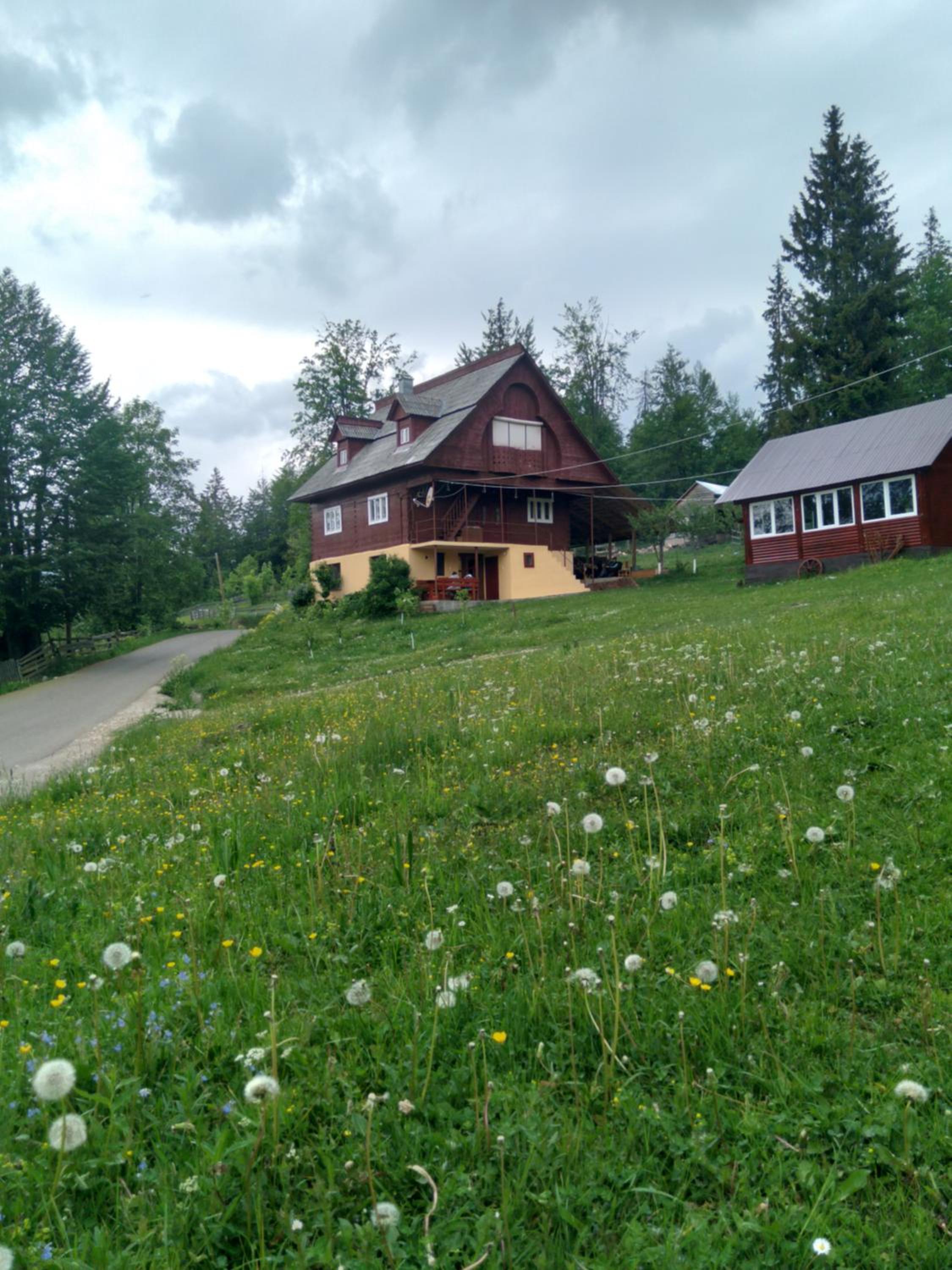 Casa din Poiană view 2