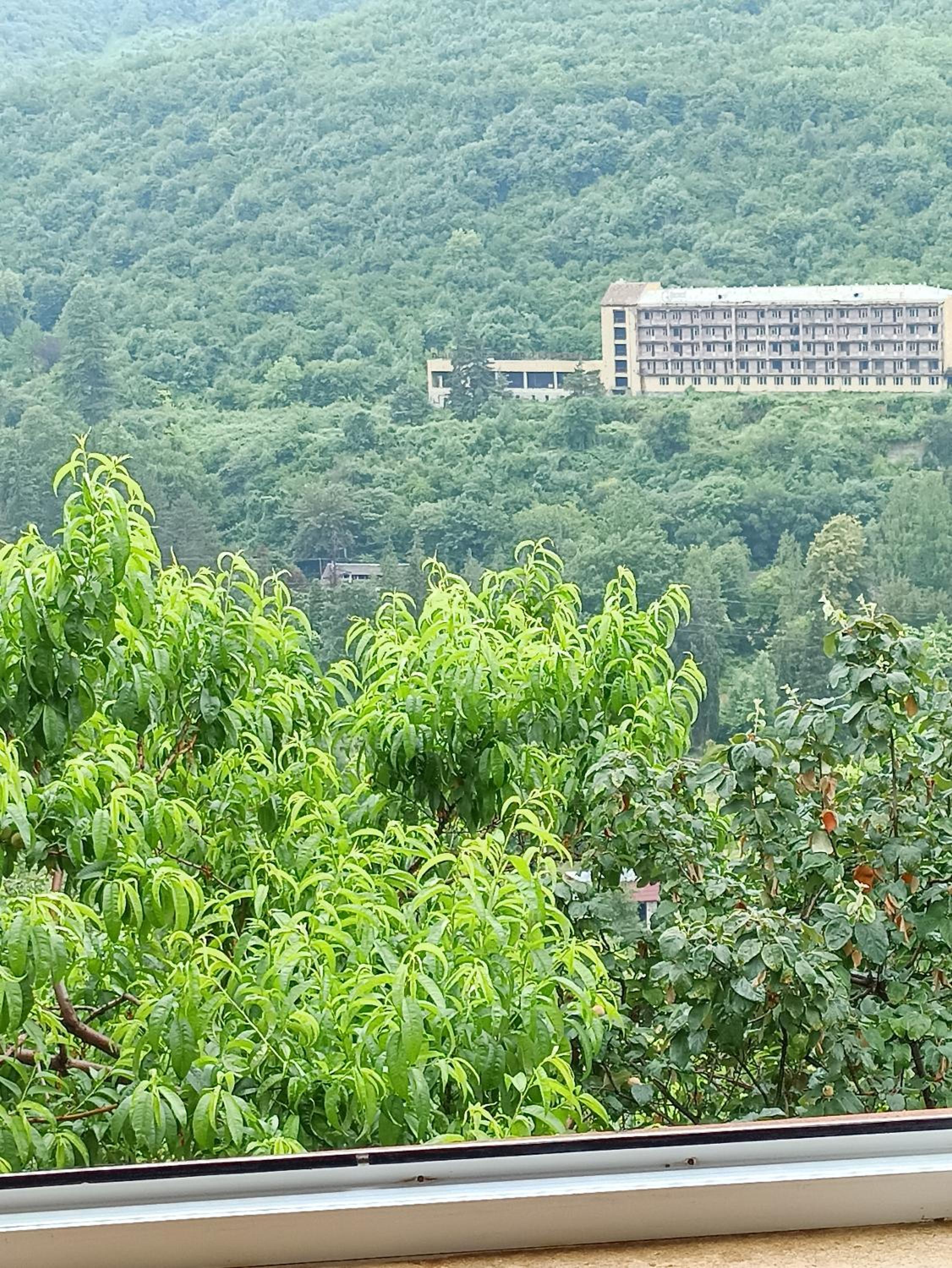 Green Garden