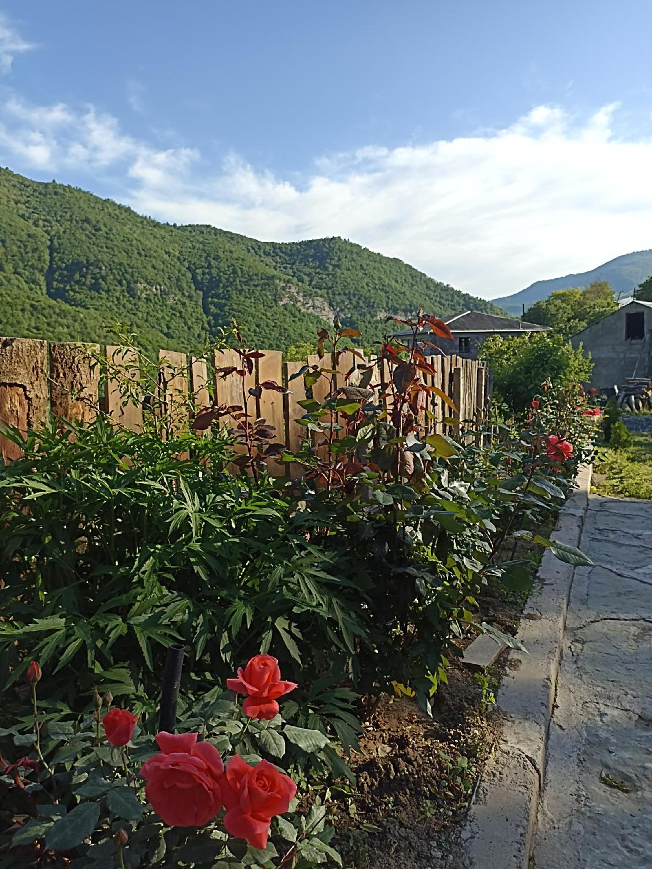 Green Garden