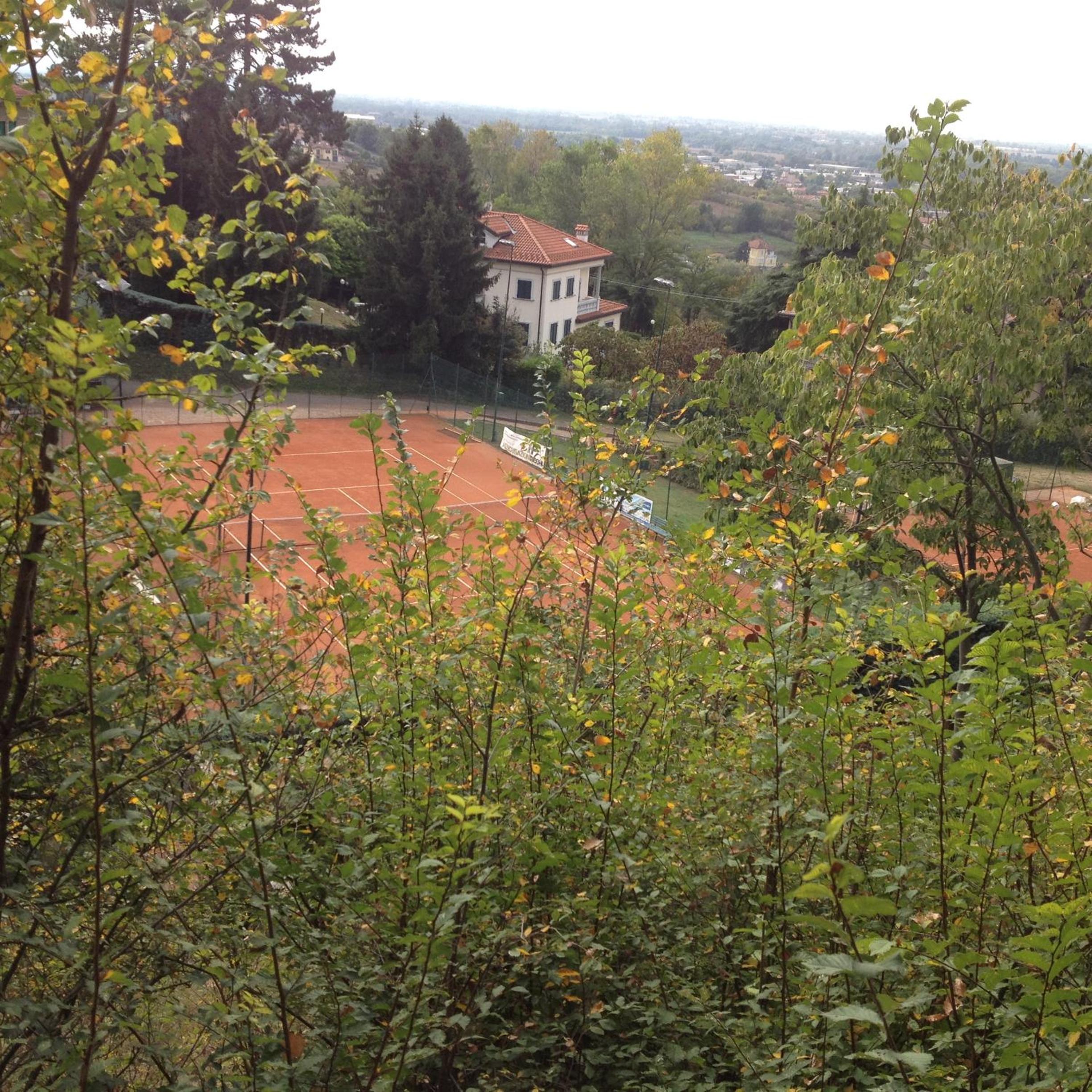 Photo 48