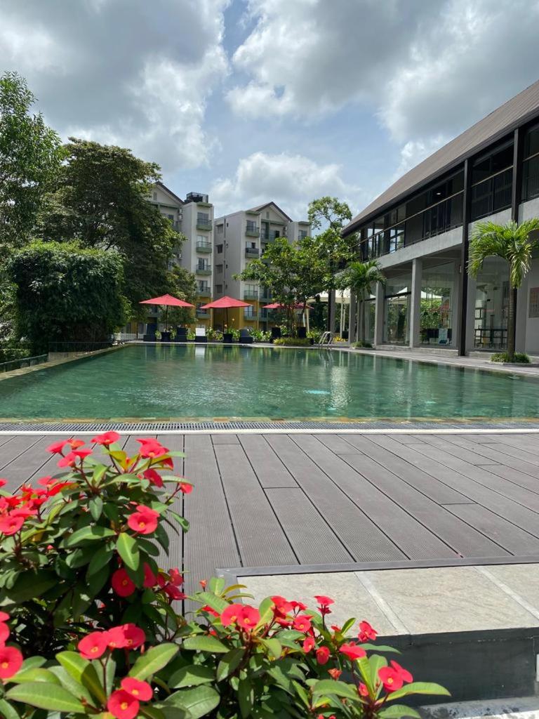 3 Bedroom Apartment, Ariyana Resort