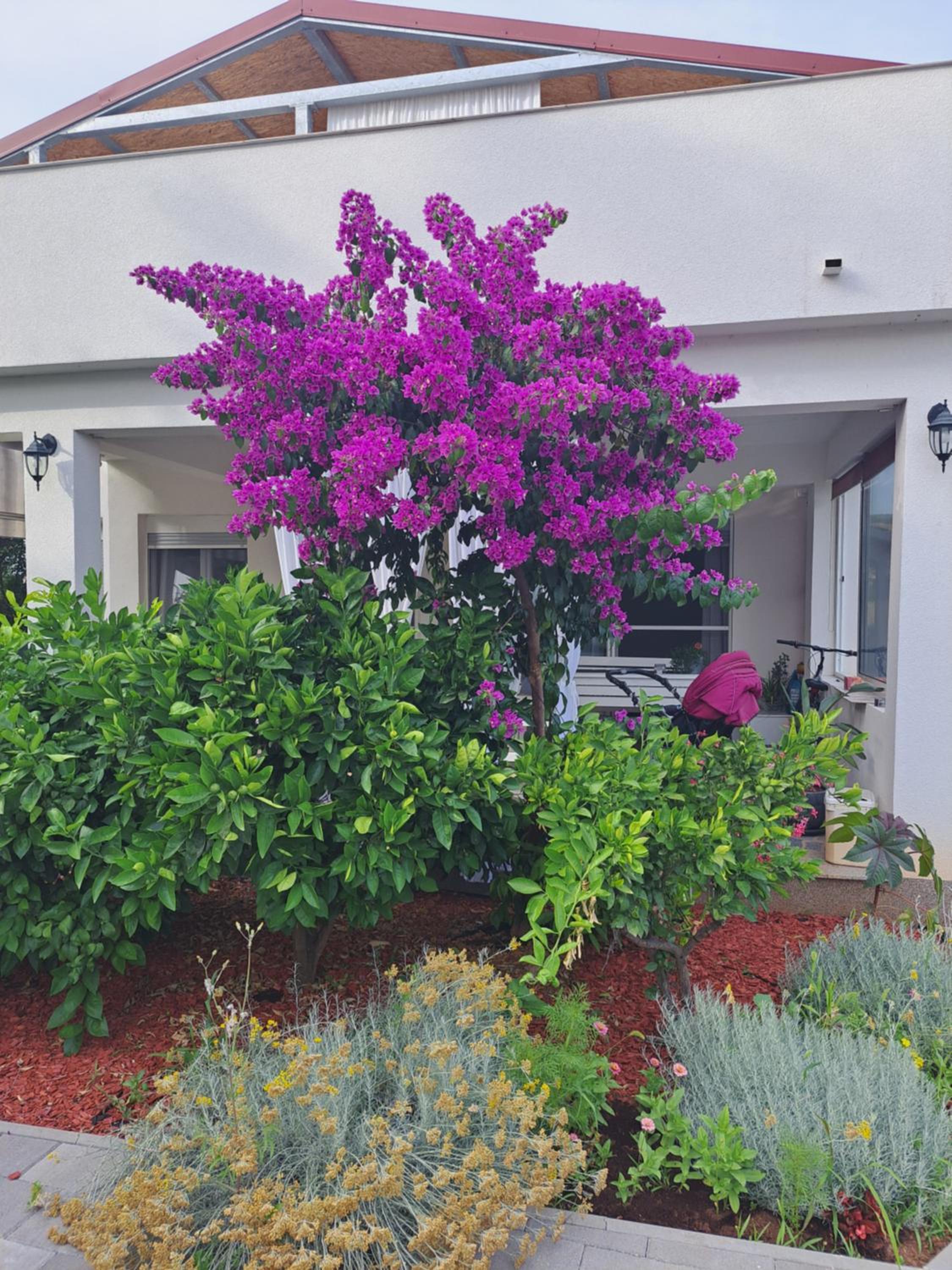Apartment Noa's Garden view 2