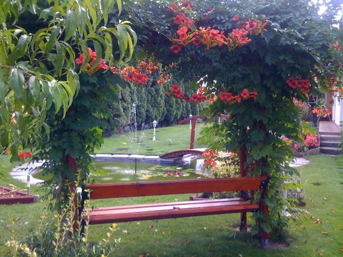 Photo 27