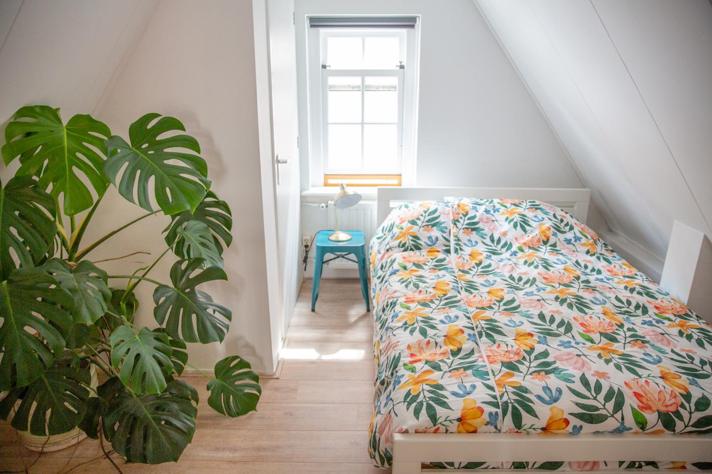 Pension B&B Pluk, photo 14