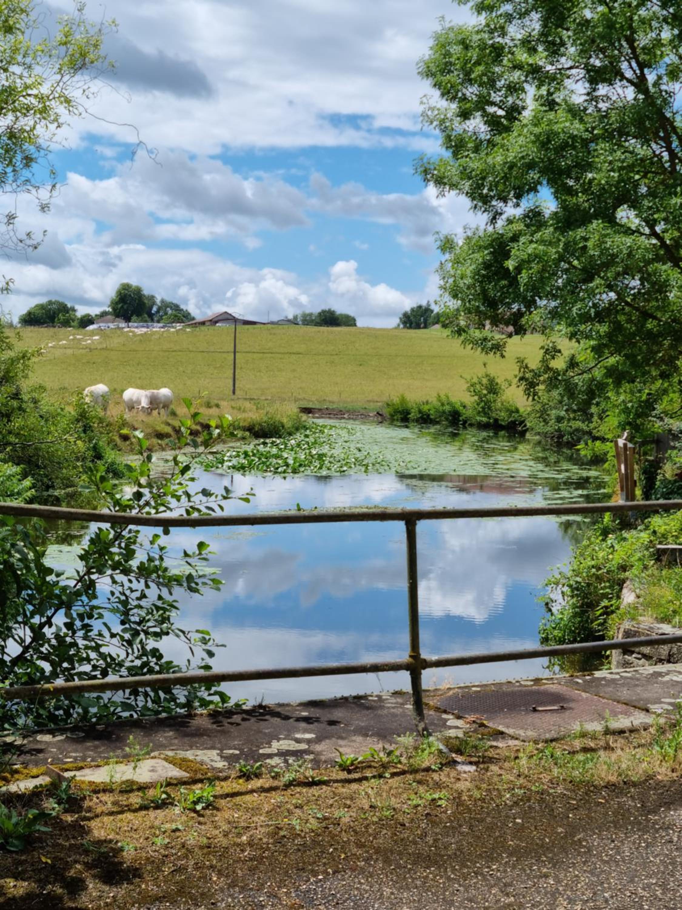 B&B à la campagne view 3