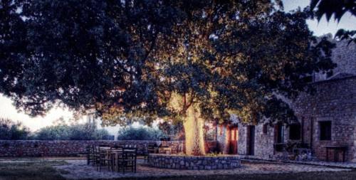 Vlyhada Guesthouse view 5