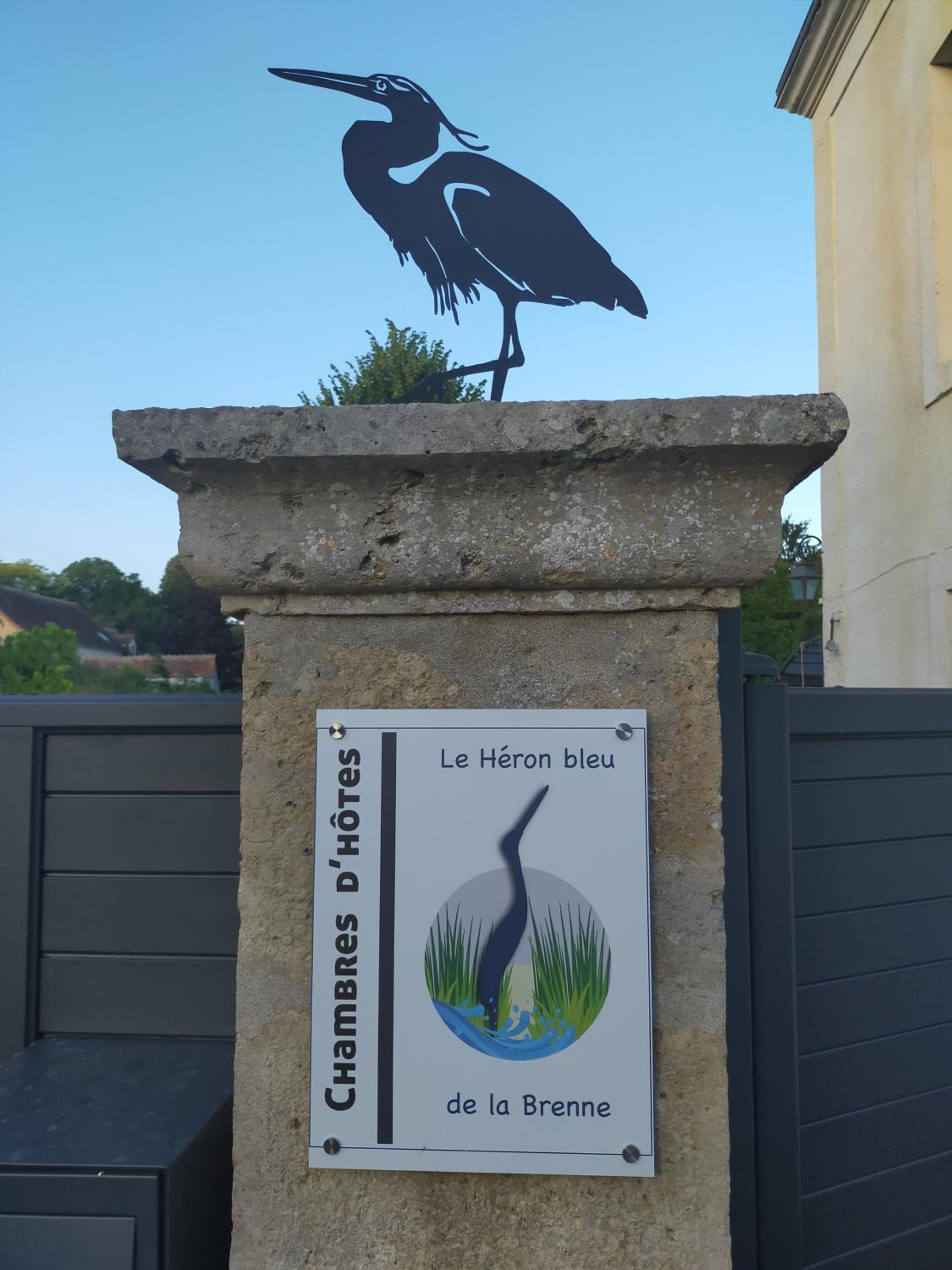 Le Héron bleu de la Brenne view 4