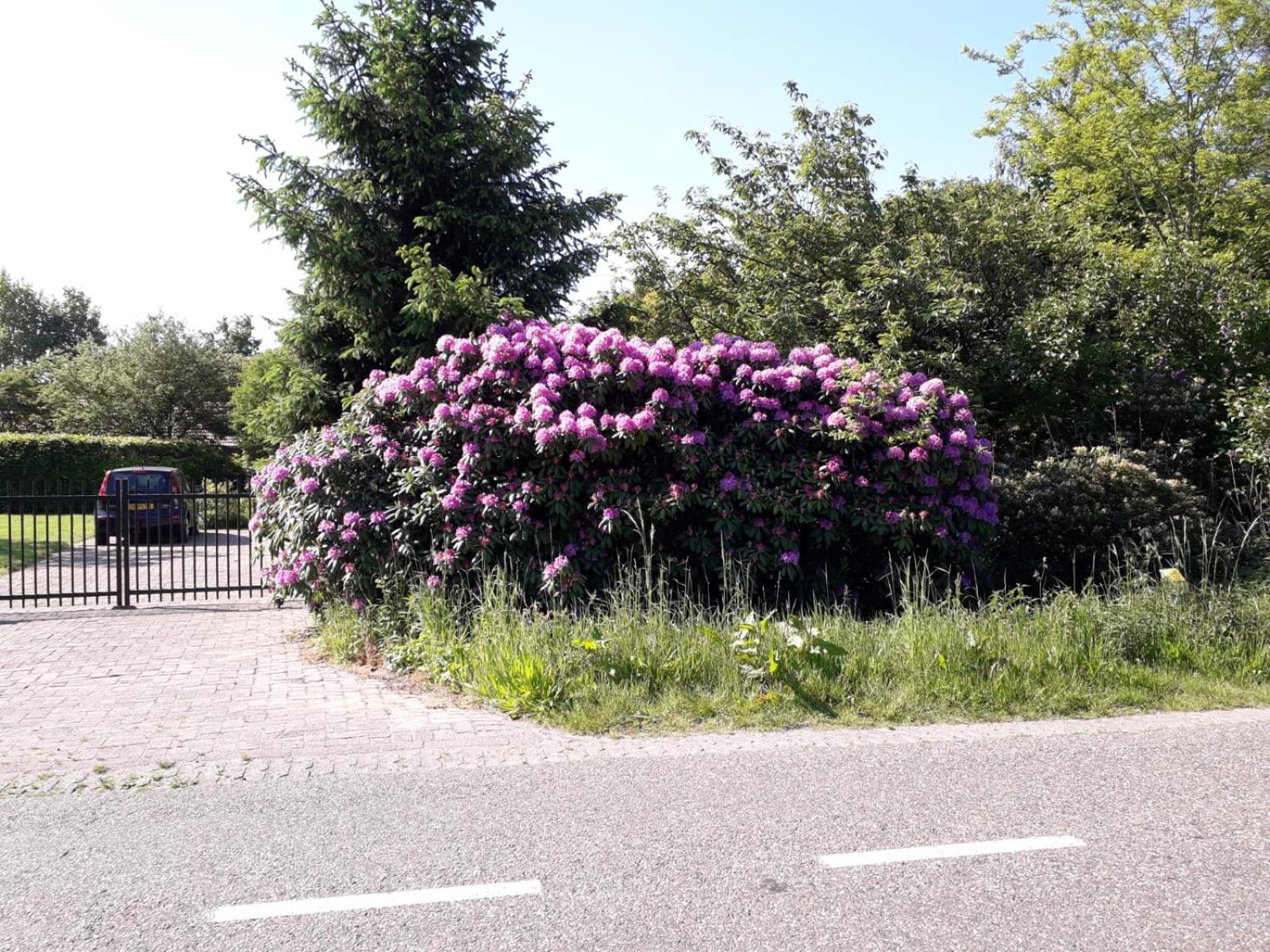 Photo 22