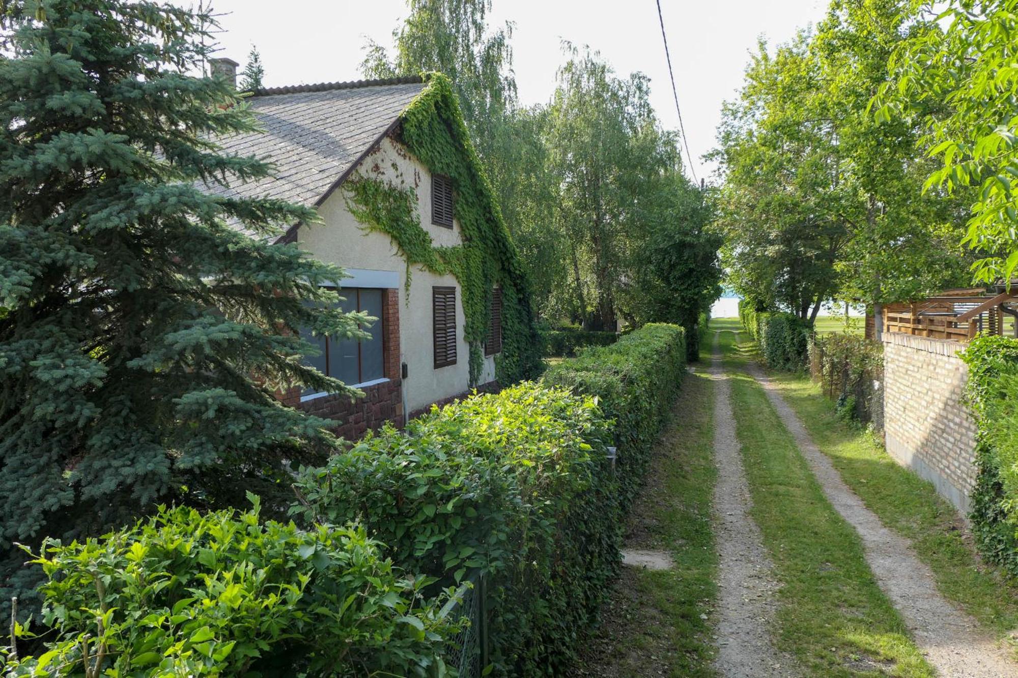 Photo 44