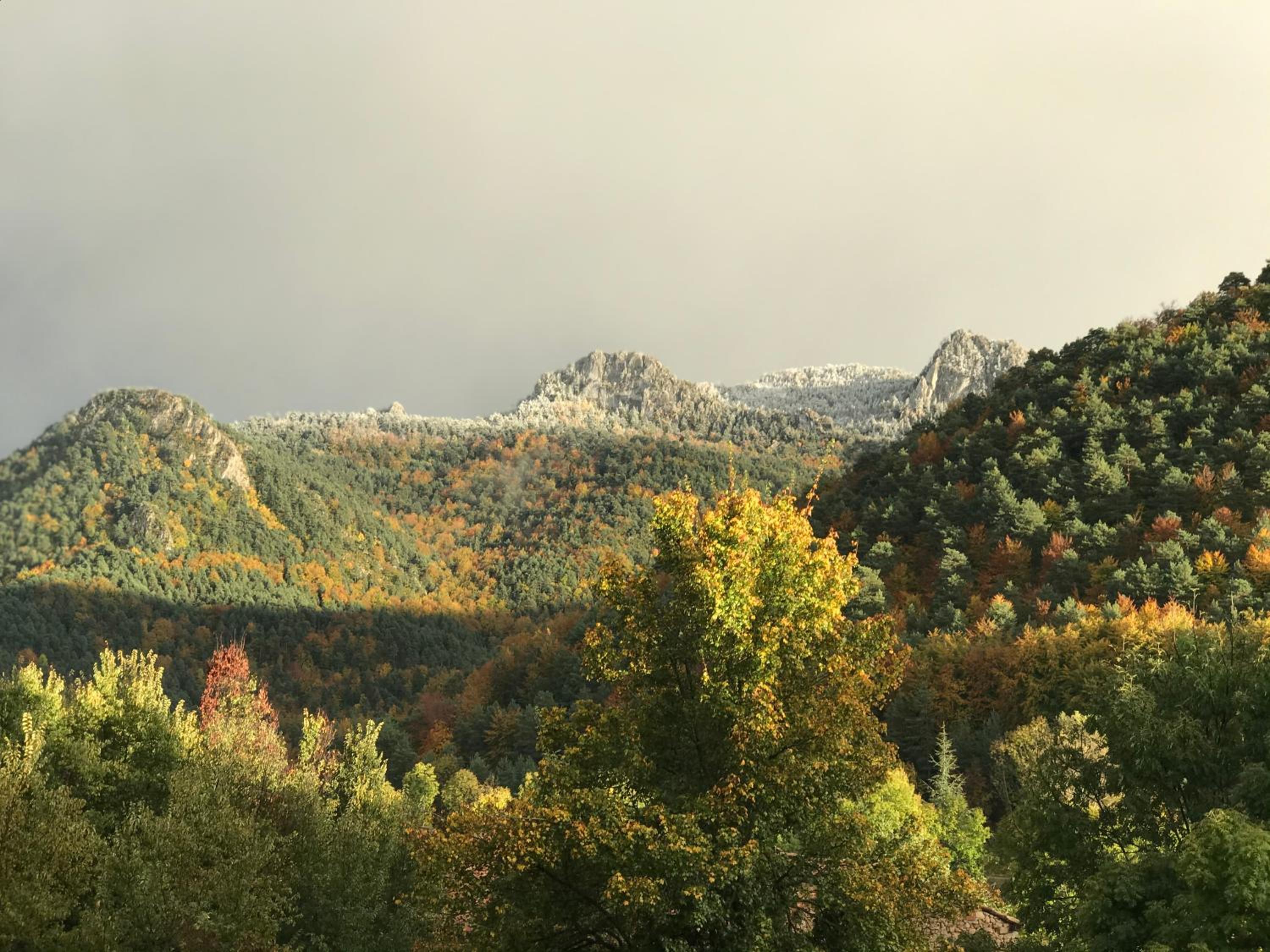 Hostatgeria Falgars view 4