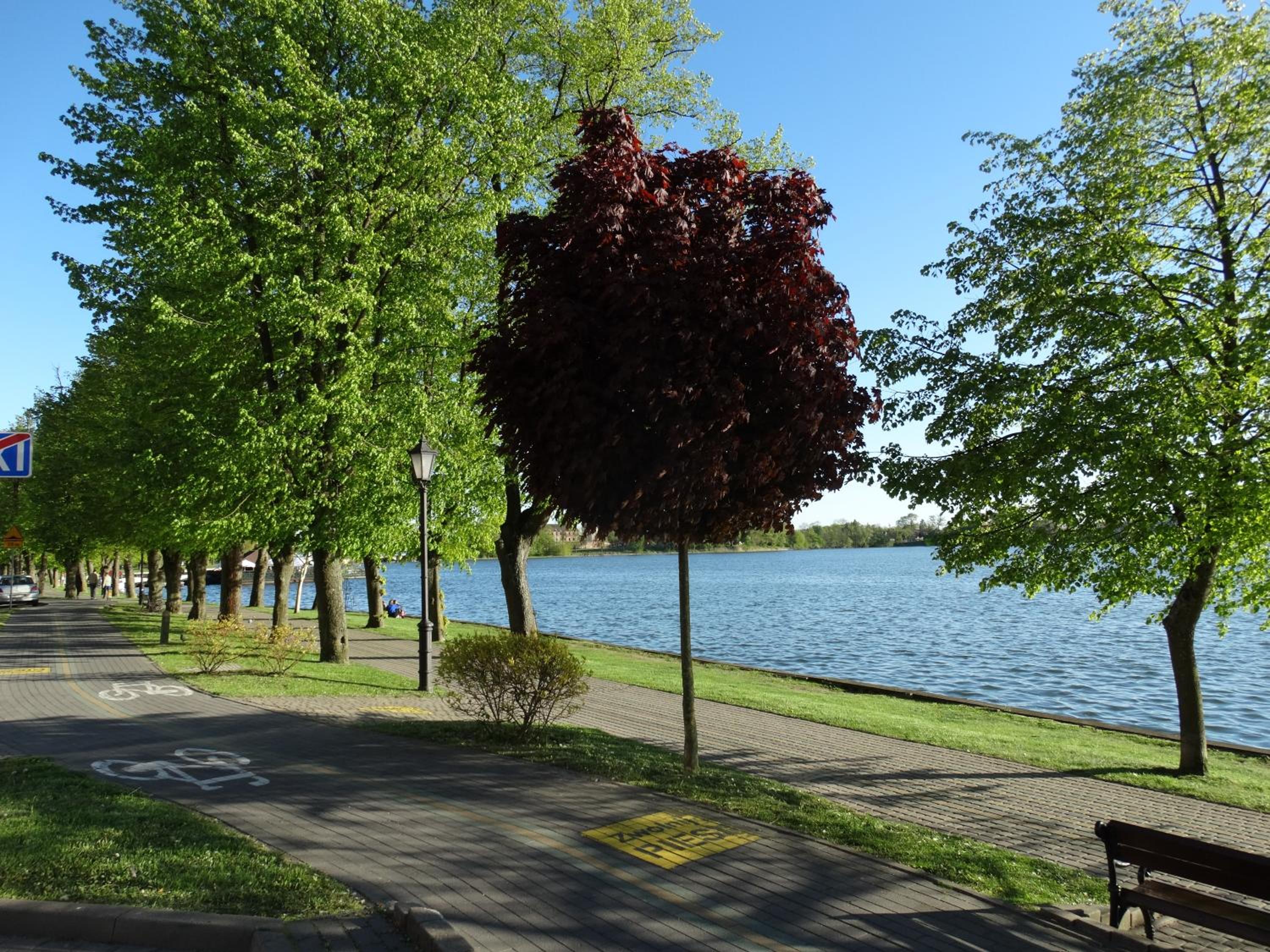 ApartamentPromenadaEłk view 5