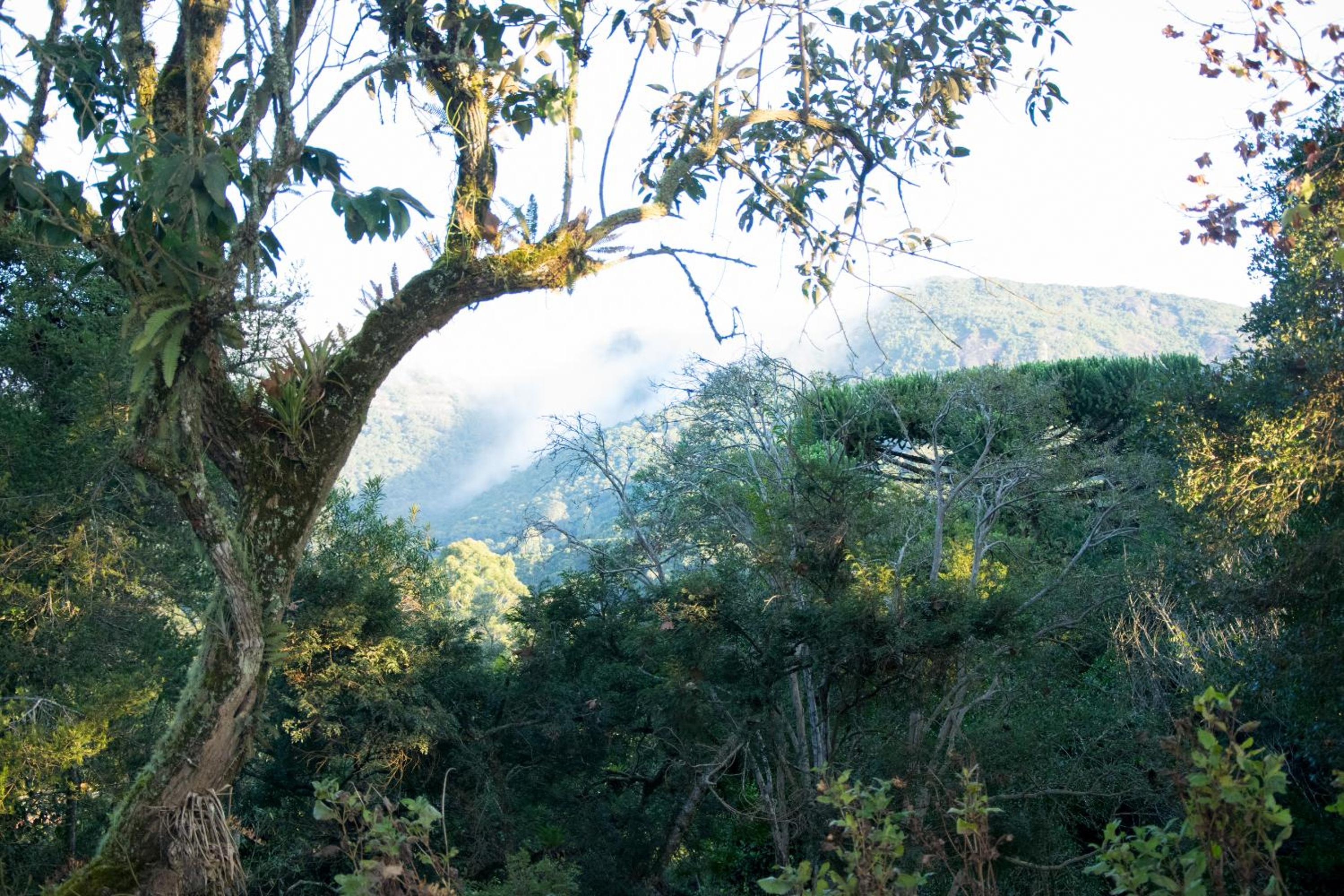 Pousada Estrela da Serra