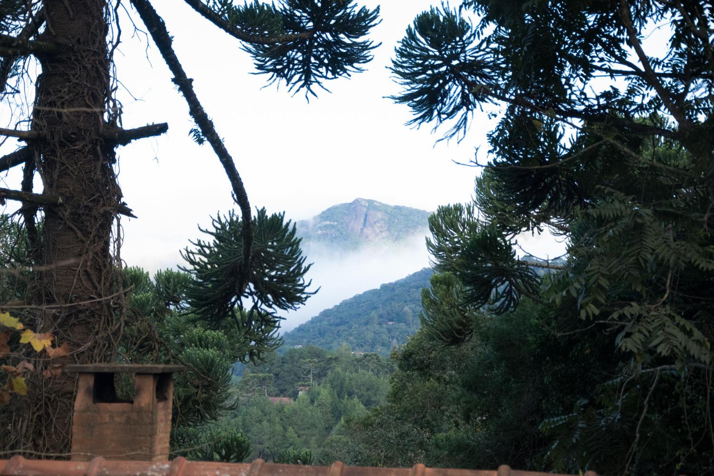Pousada Estrela da Serra