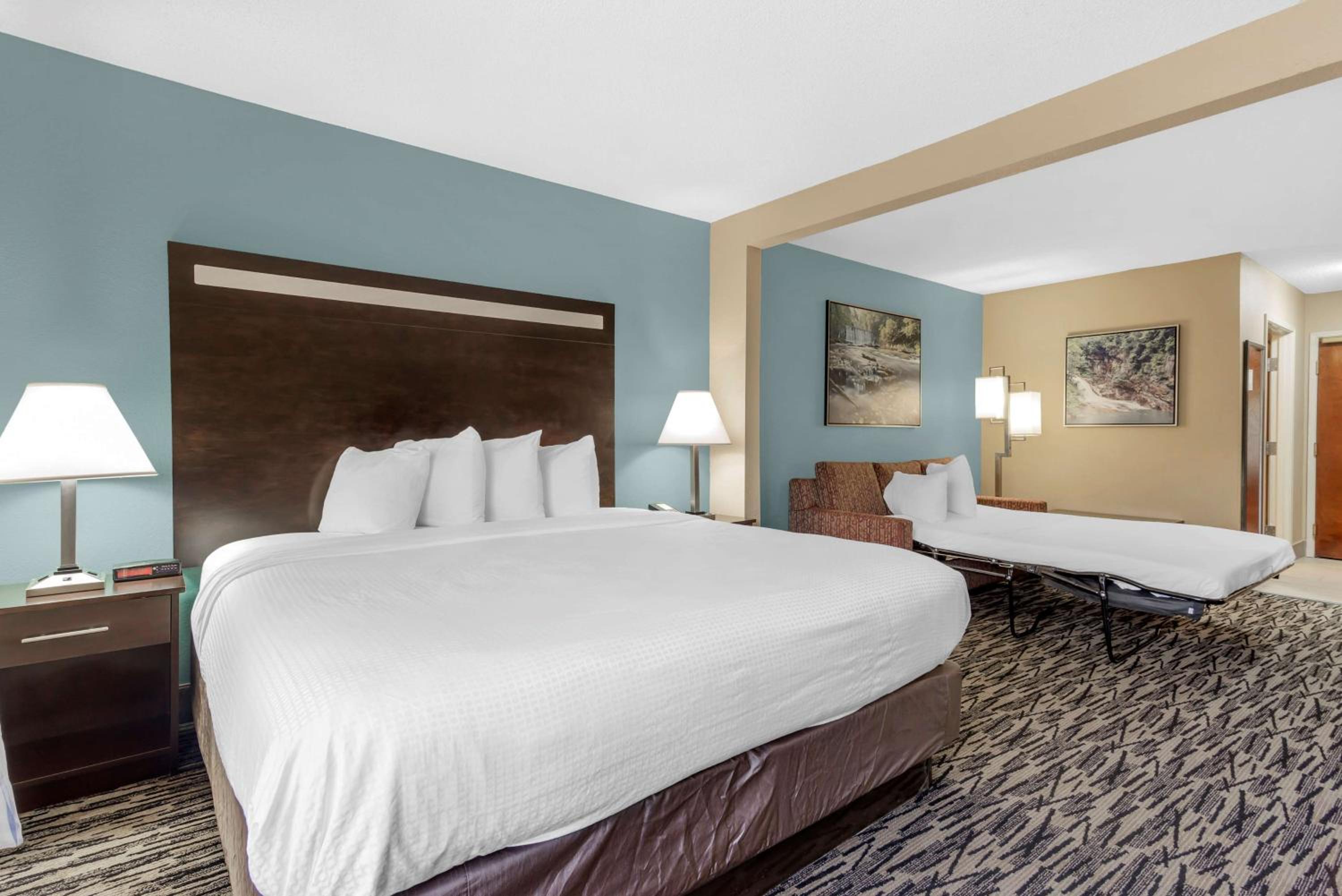 Best Western Plus McDonough Inn & Suites