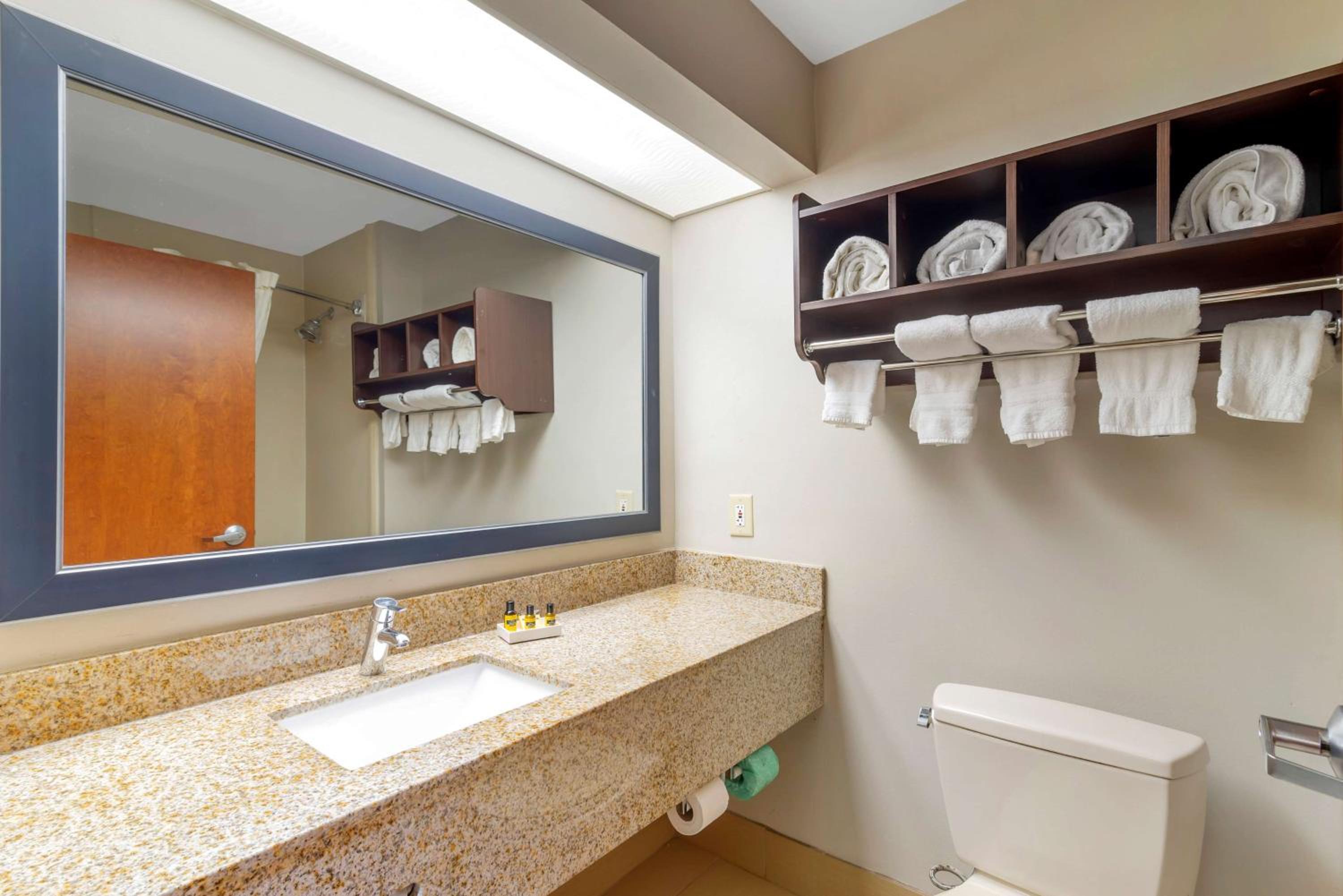 Best Western Plus McDonough Inn & Suites