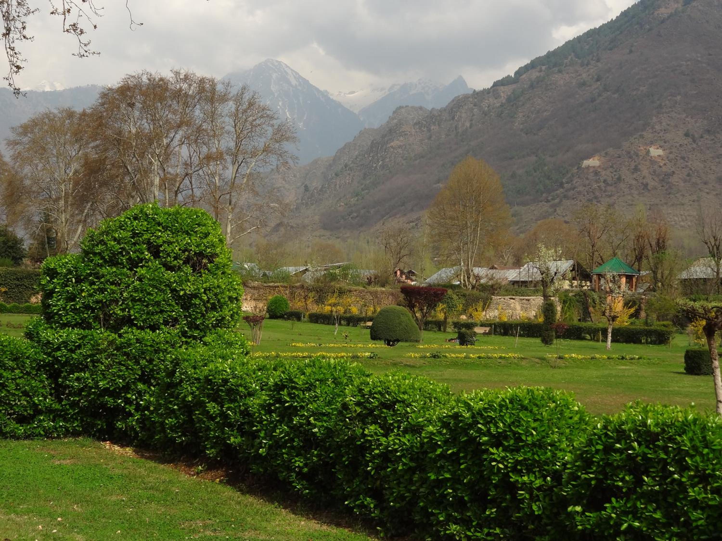 Photo 25