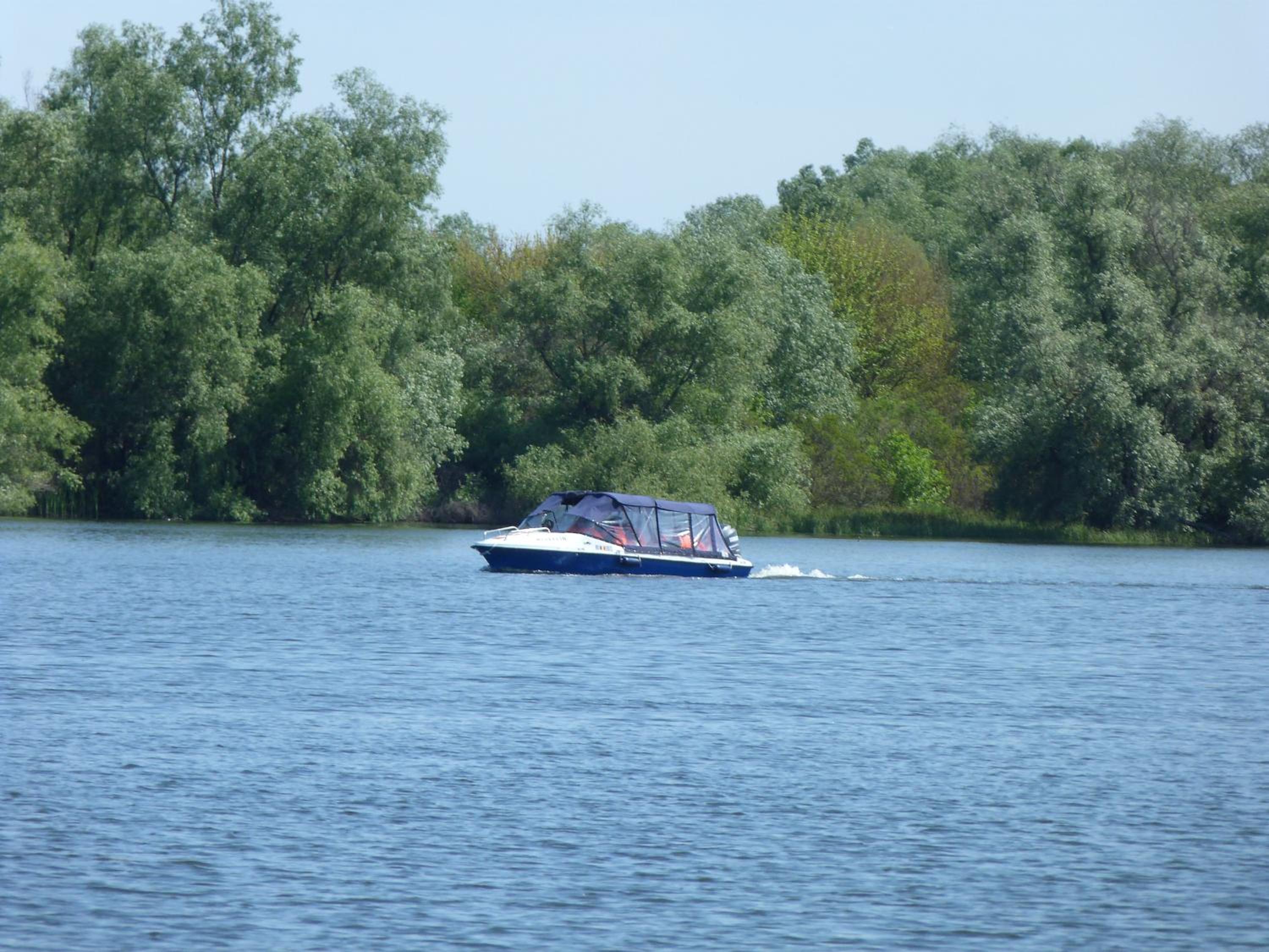 other