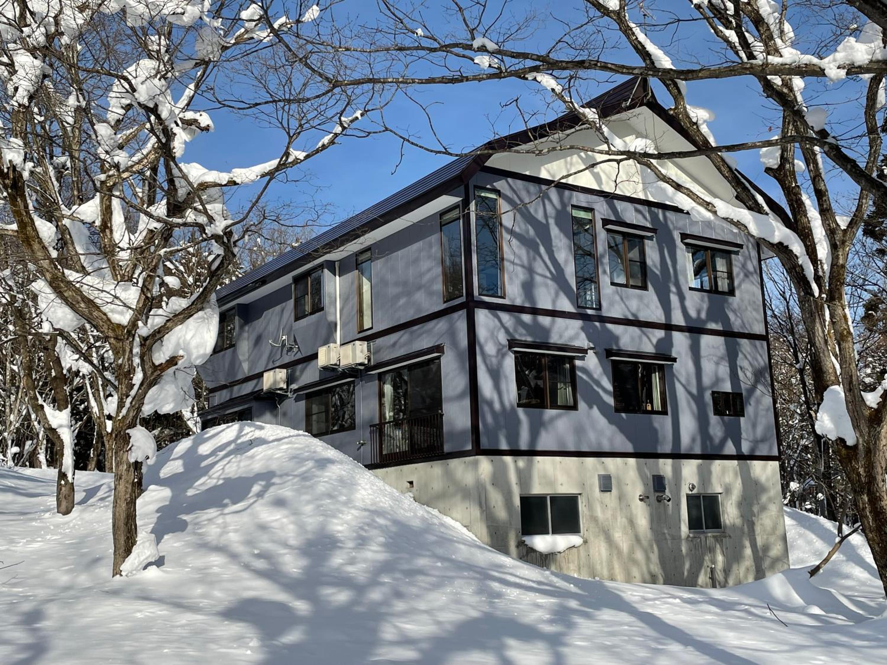 Myoko Woodland Lodge view 4