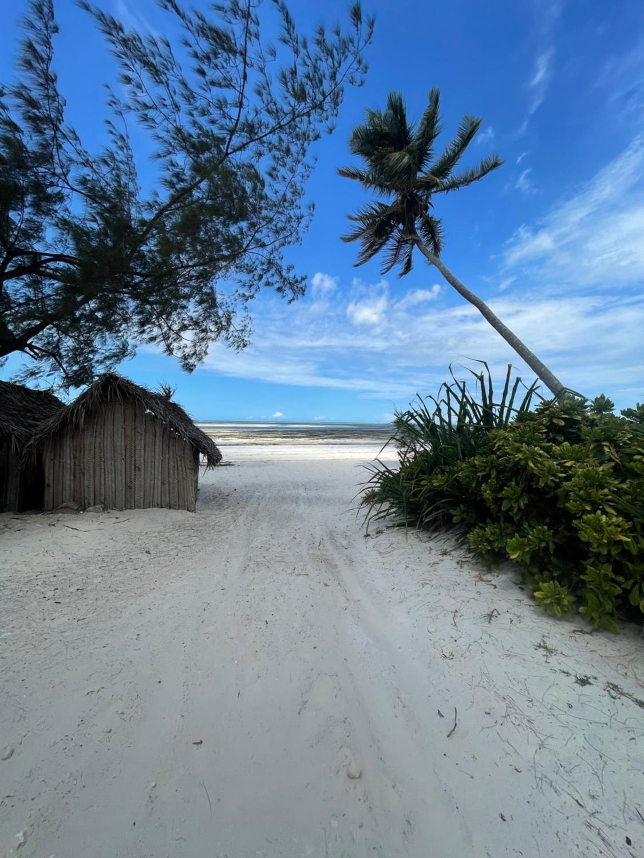 Villa Salama Vida Ocean View