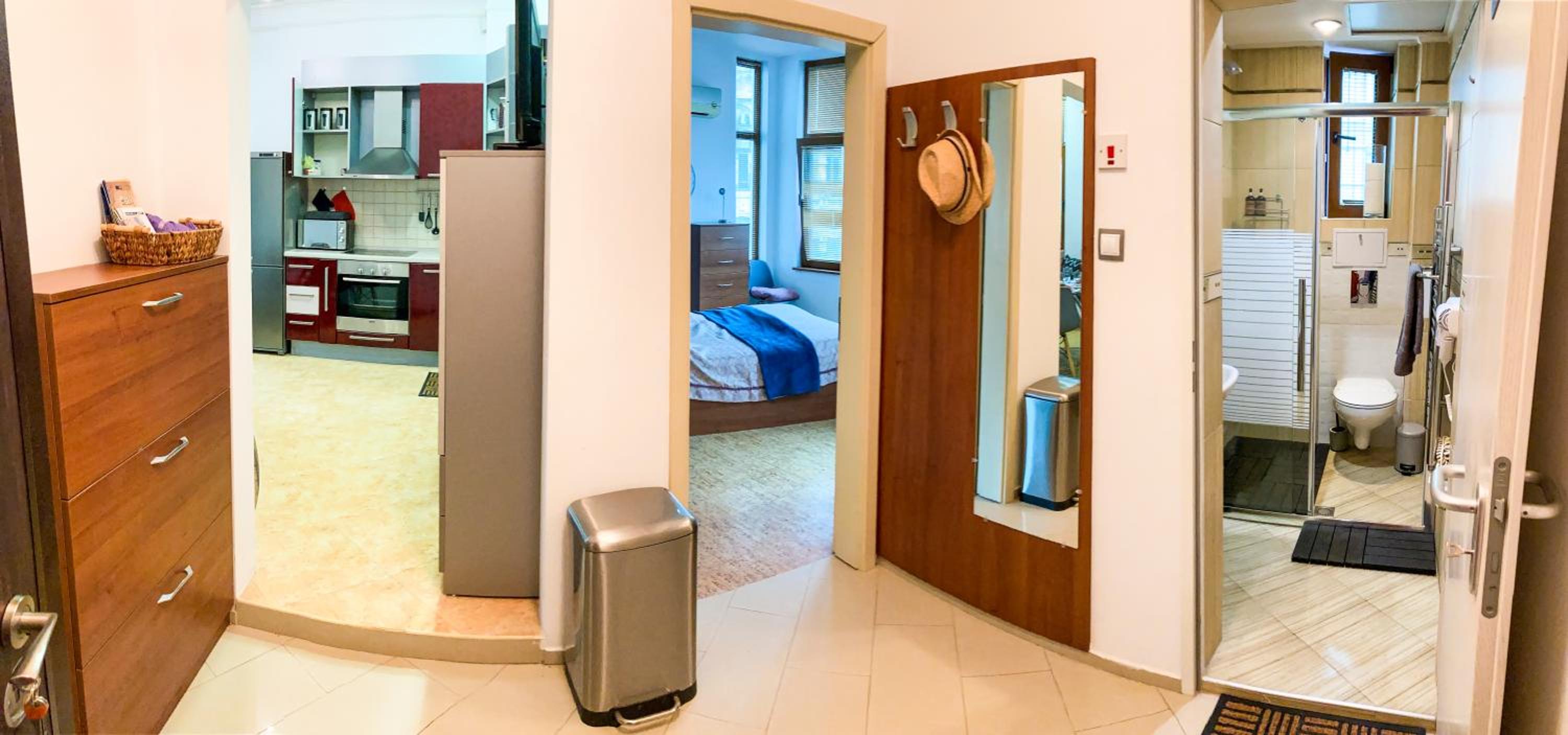 Two Bedroom Apartment - Alexandrovska - Top Location - Central Bus, Train and Marine Stations, next to Sea Garden and Beach