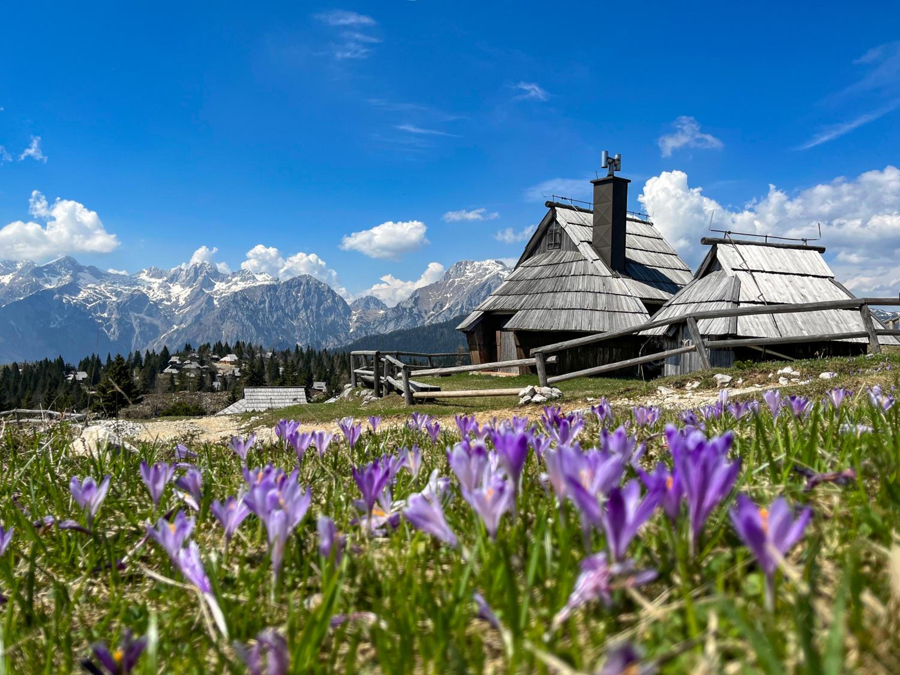 Chalet Kočna - I FEEL ALPS view 5