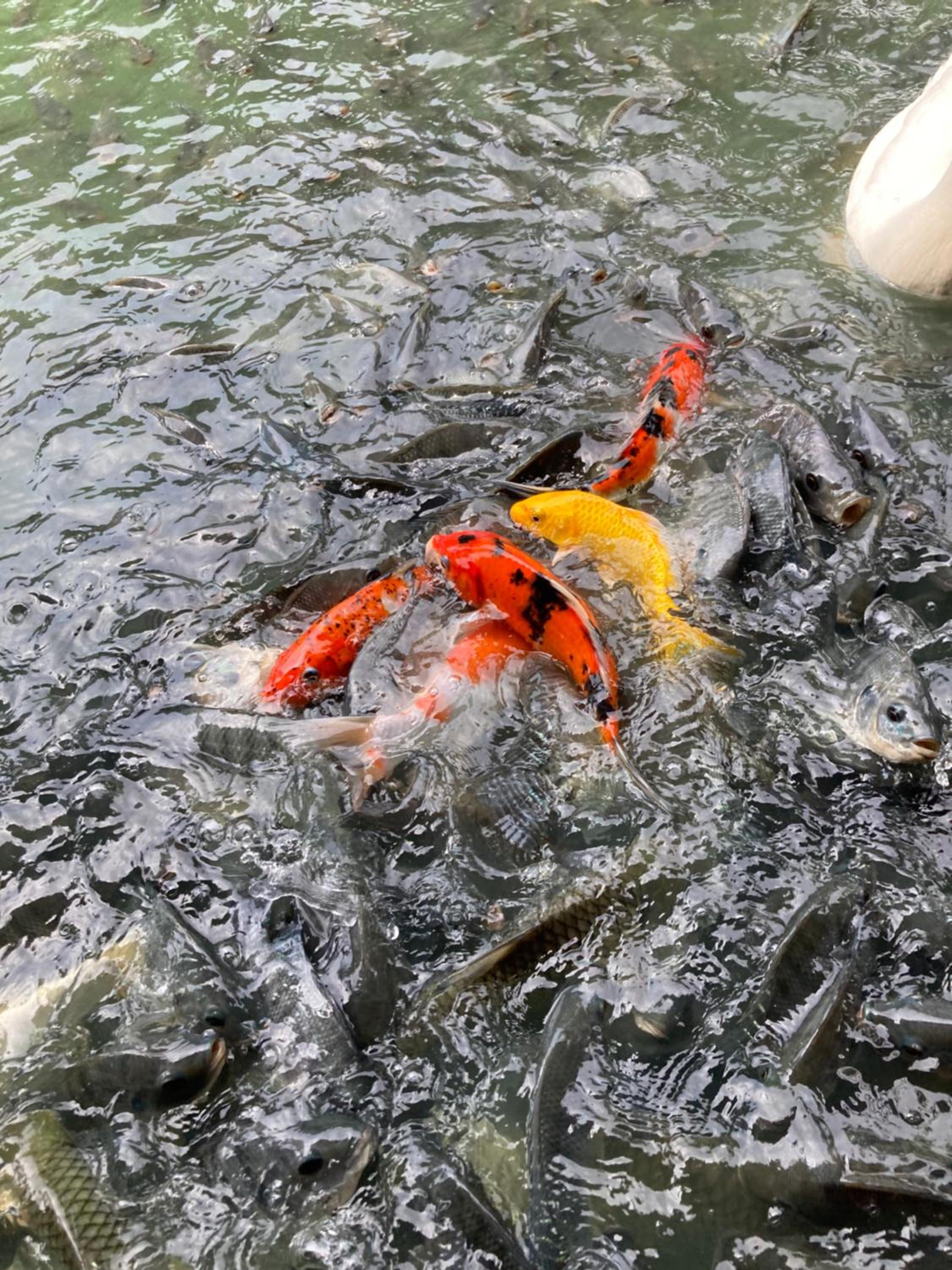 Keith Ratchaburi
