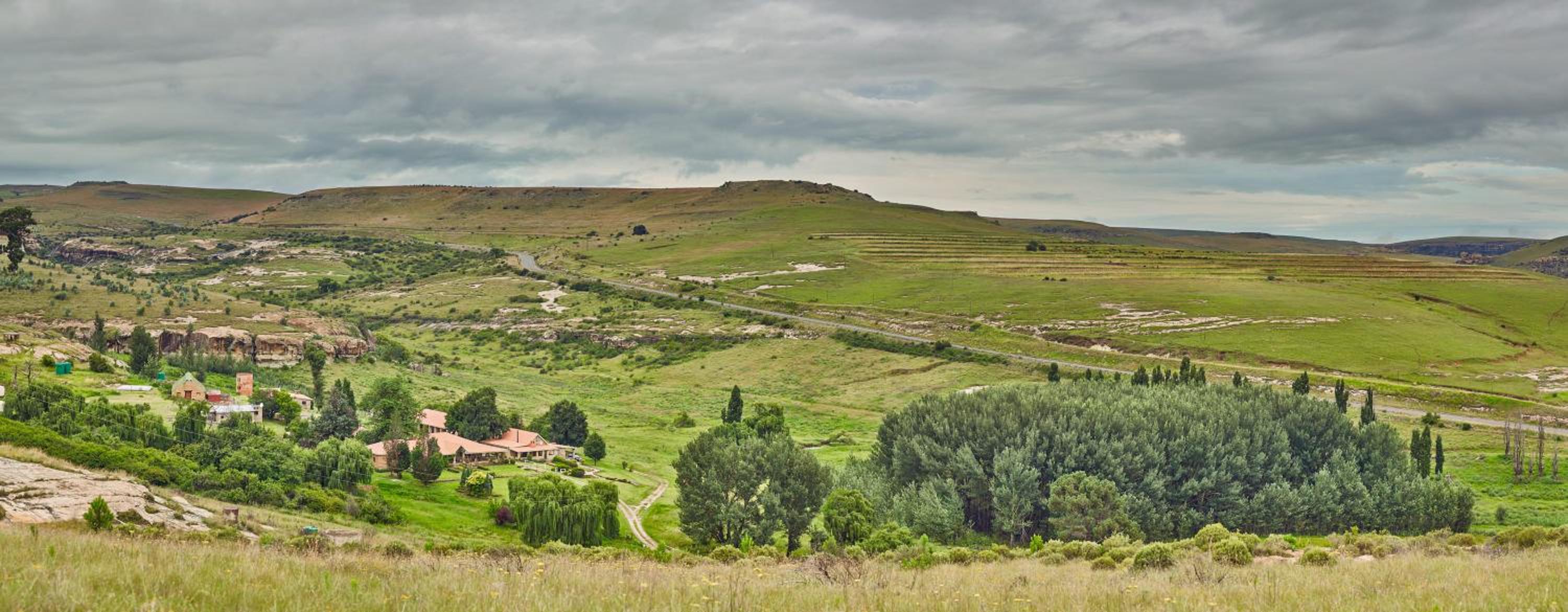Linwood Guest Farm