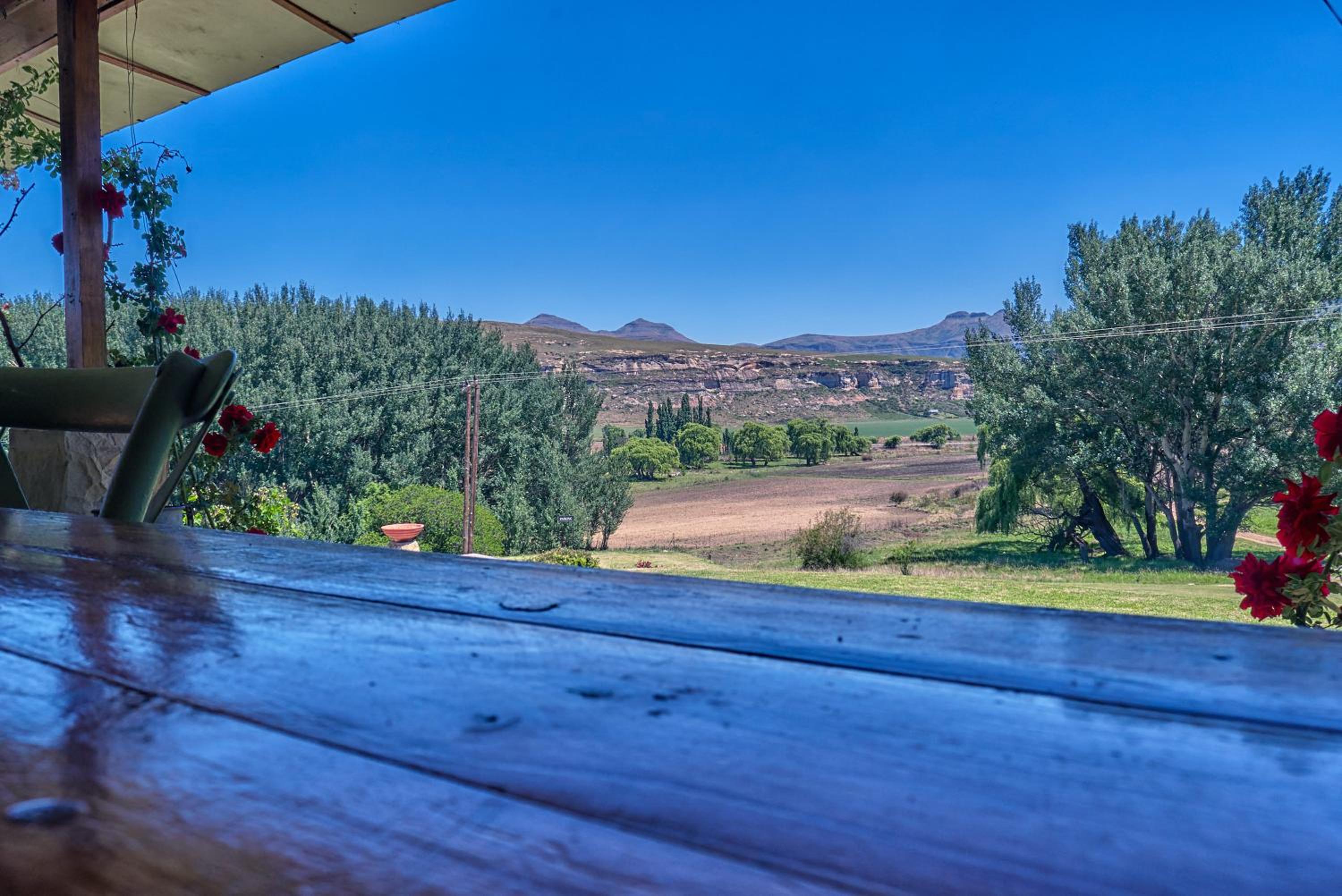 Linwood Guest Farm