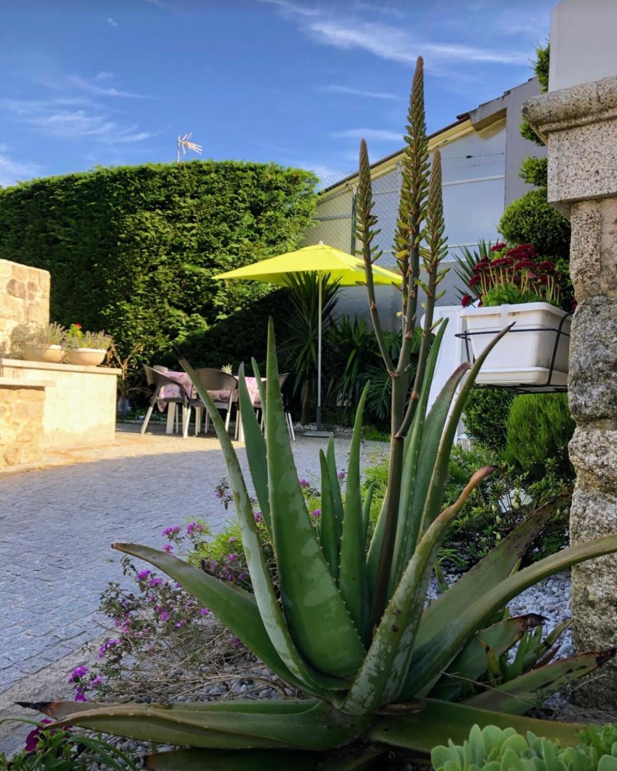Casa Pedro e Inês