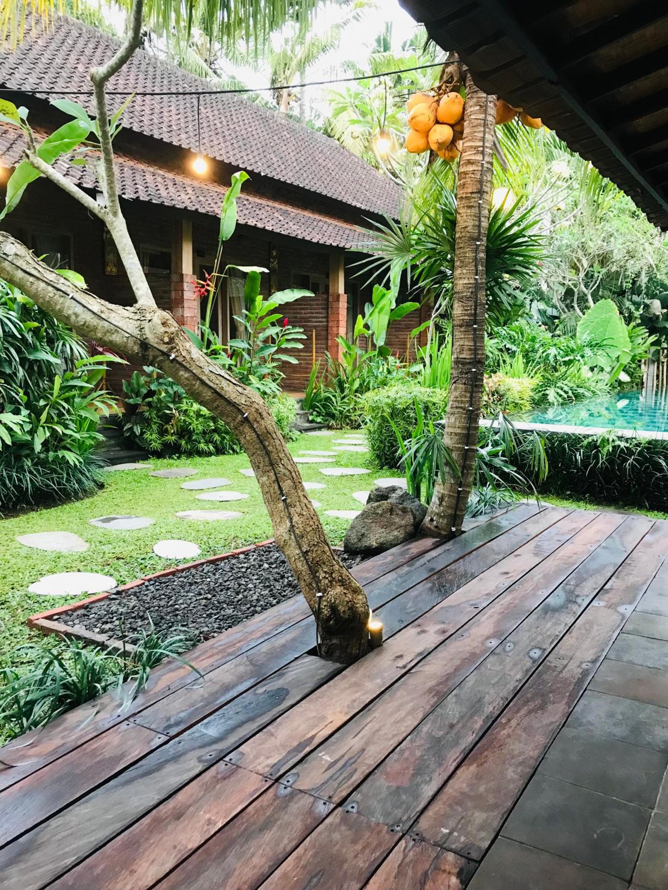 Kailash Bali