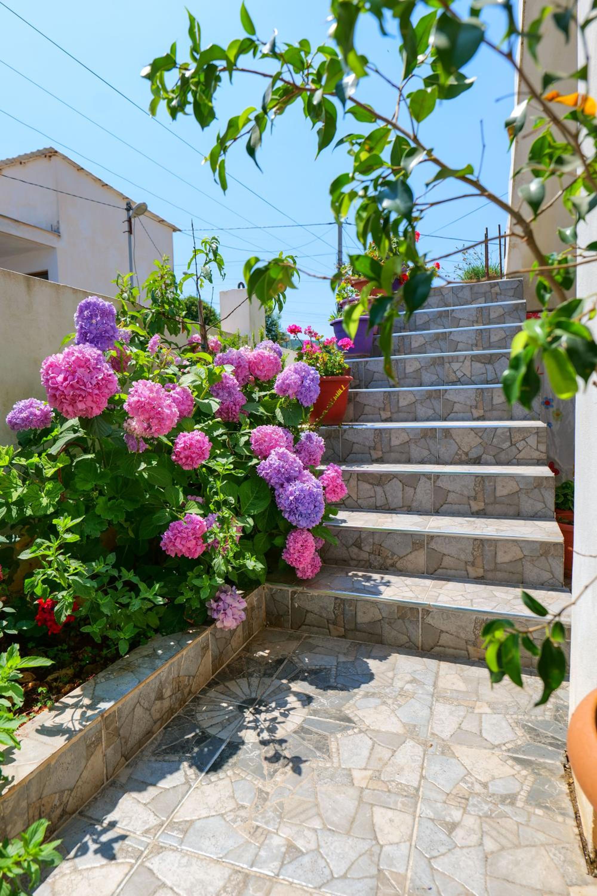 Ilias House