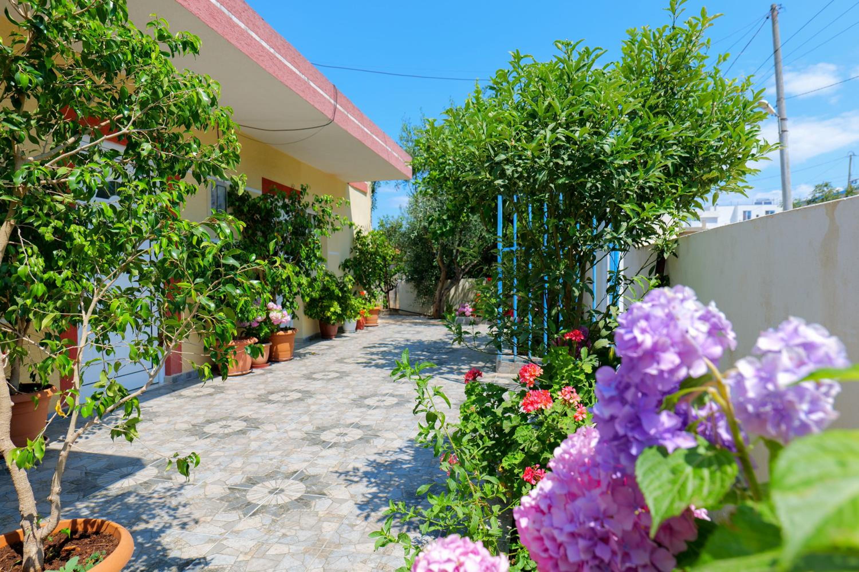 Ilias House