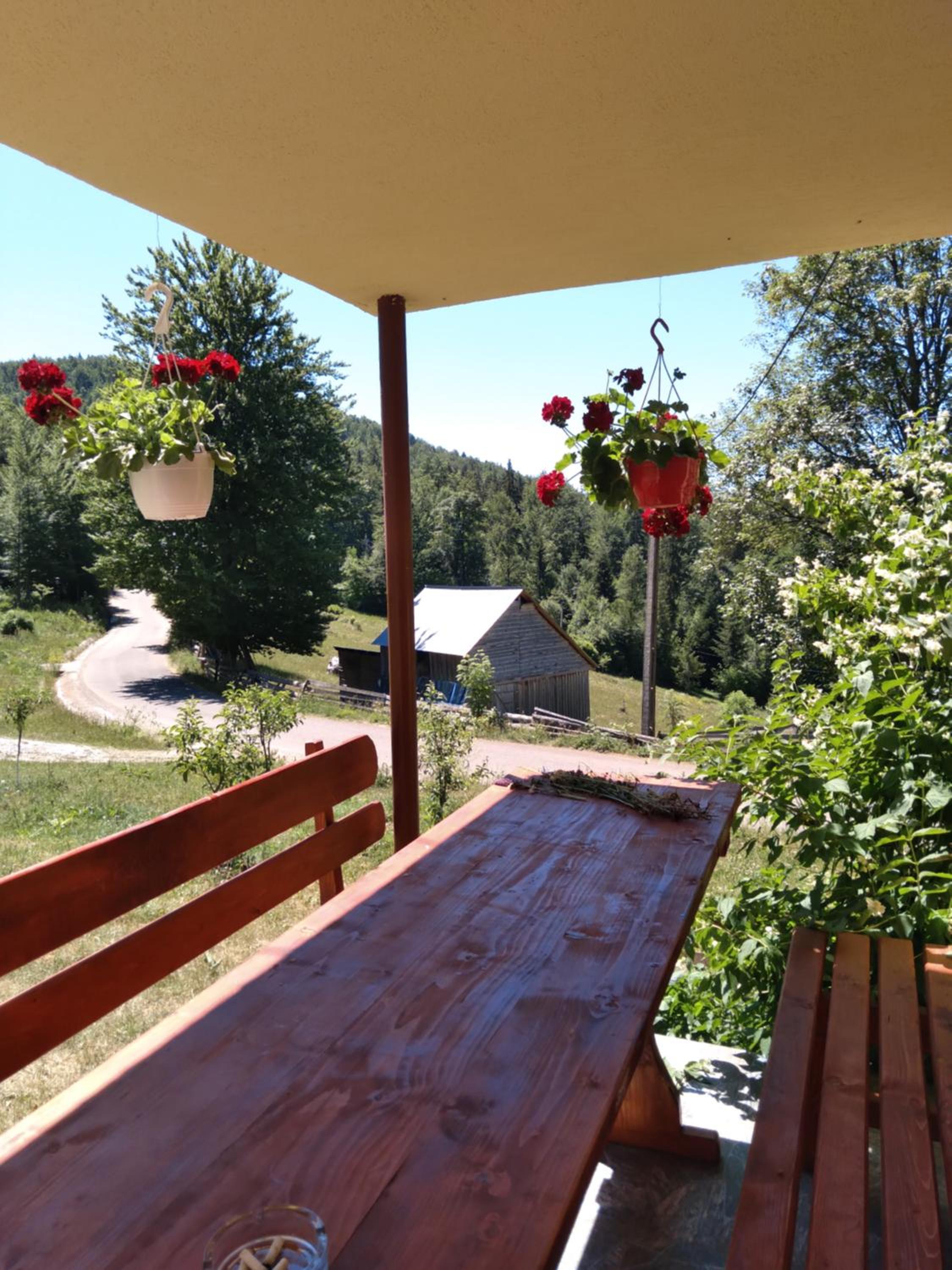 Casa din Poiană view 3