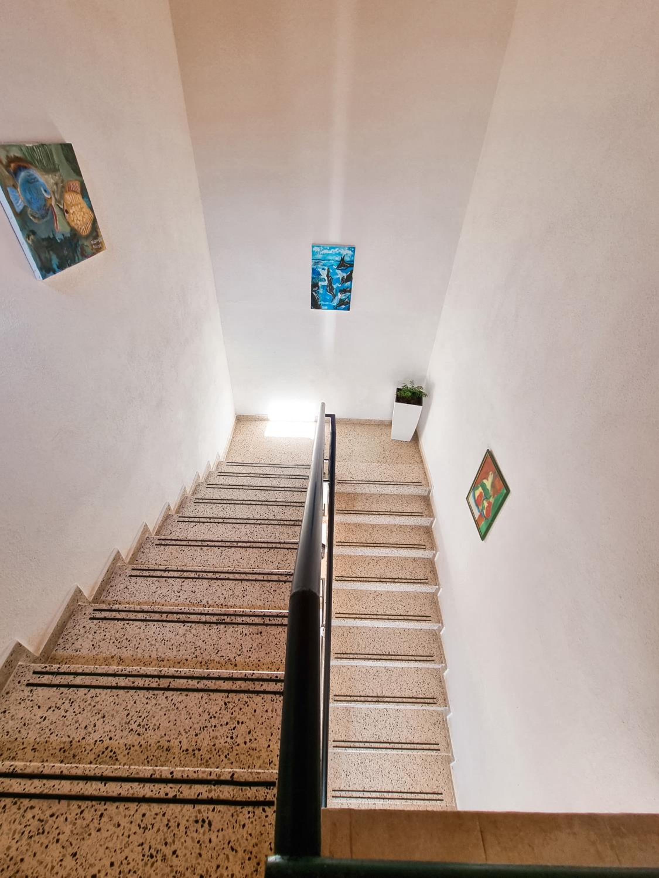 Apartment Celaj Velipoje