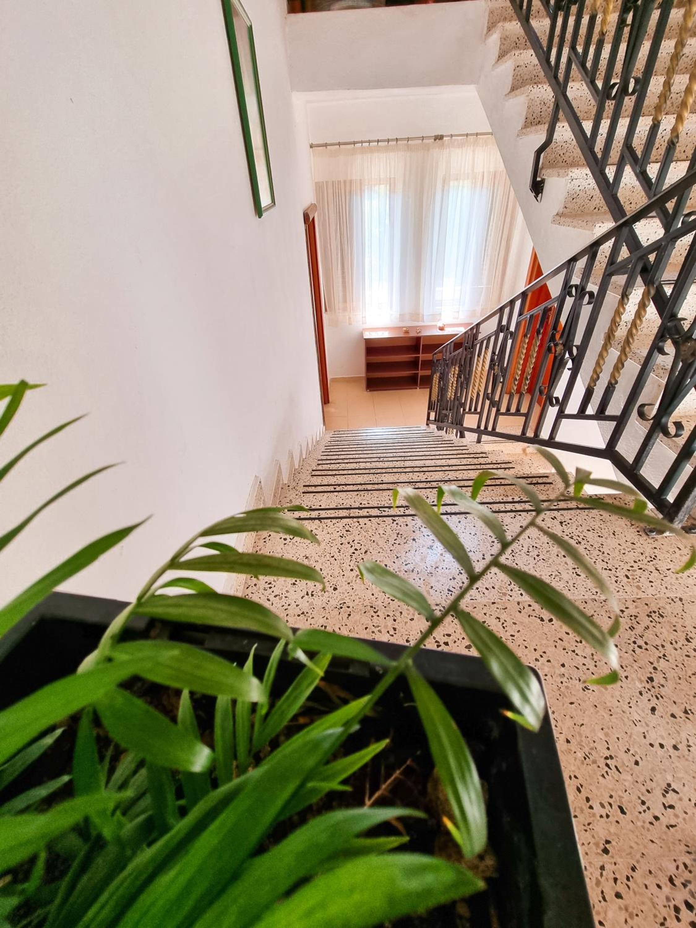 Apartment Celaj Velipoje